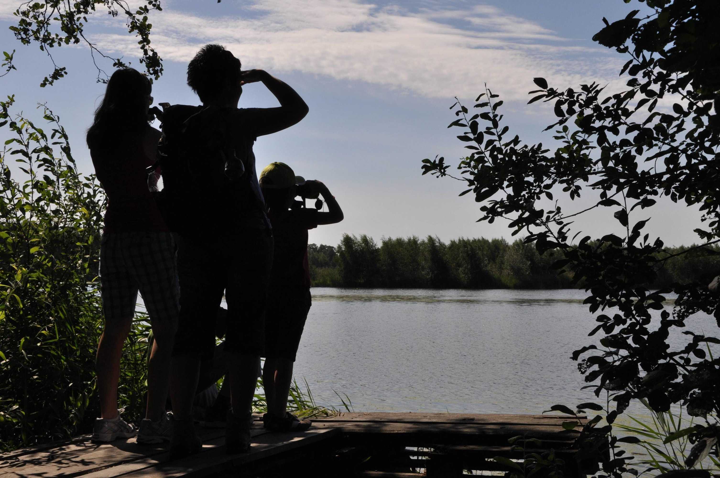 Gift card for Best Western Plus Hotel Bautzen