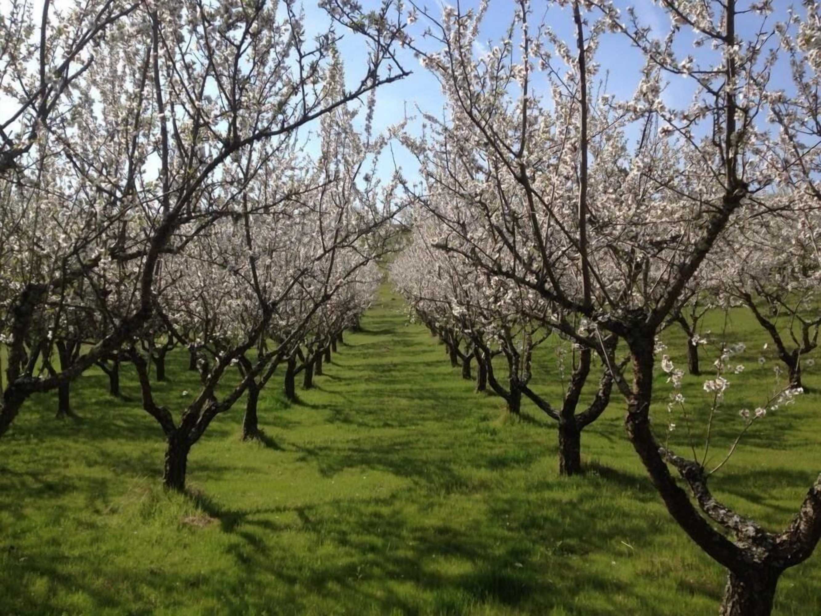 Gift card for Quinta da Pereira