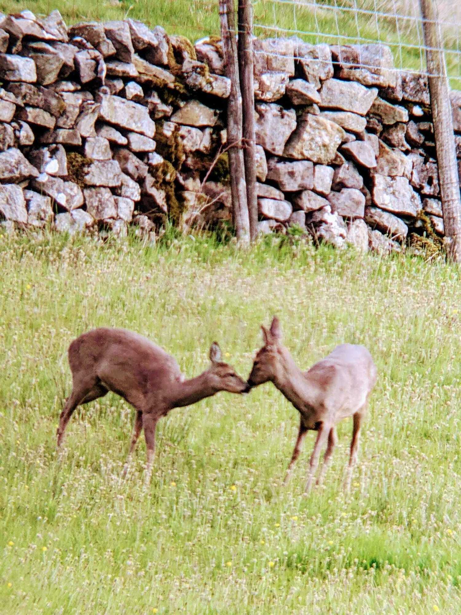 Gift card for Nethergill Haylofts