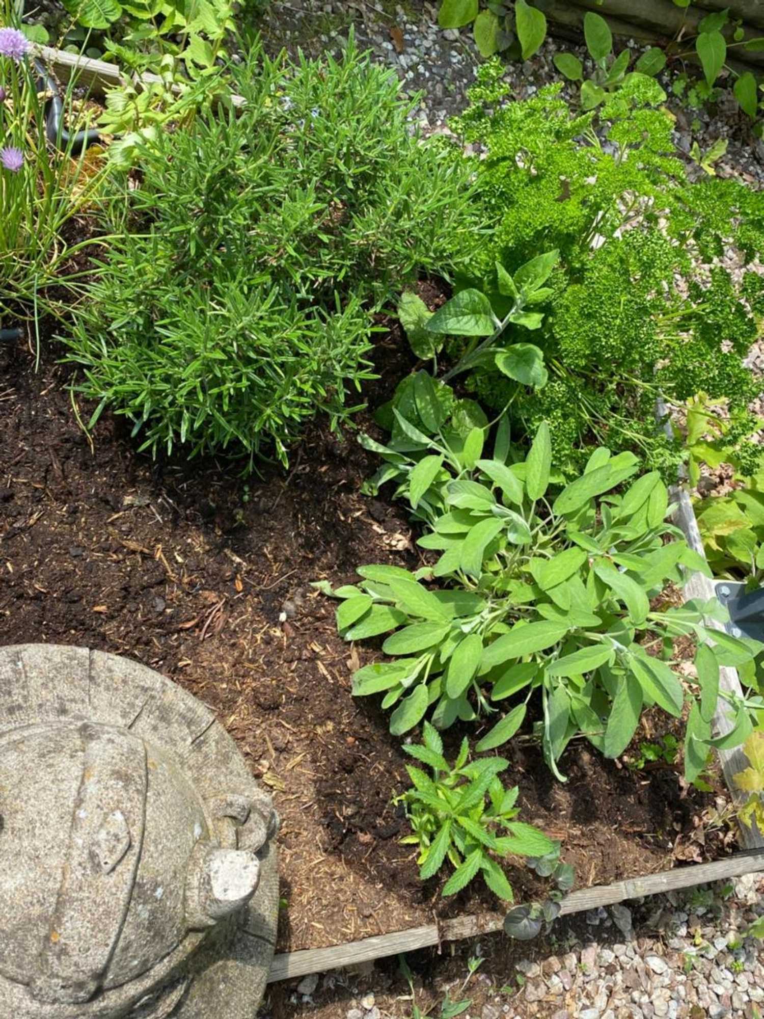 Gift card for Chalet de Kleine Eekhoorn