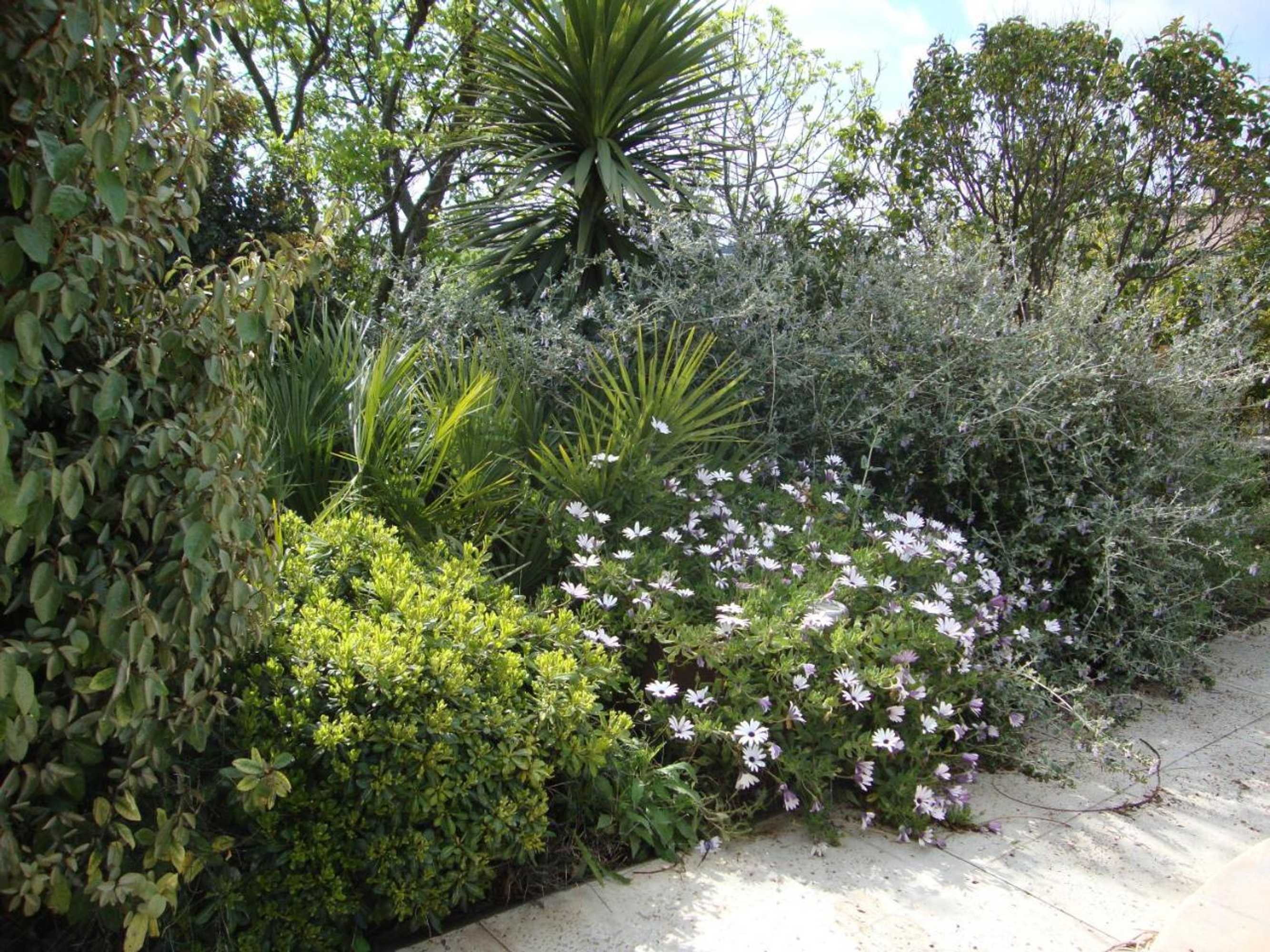 Gift card for Michèle et Didier Lin