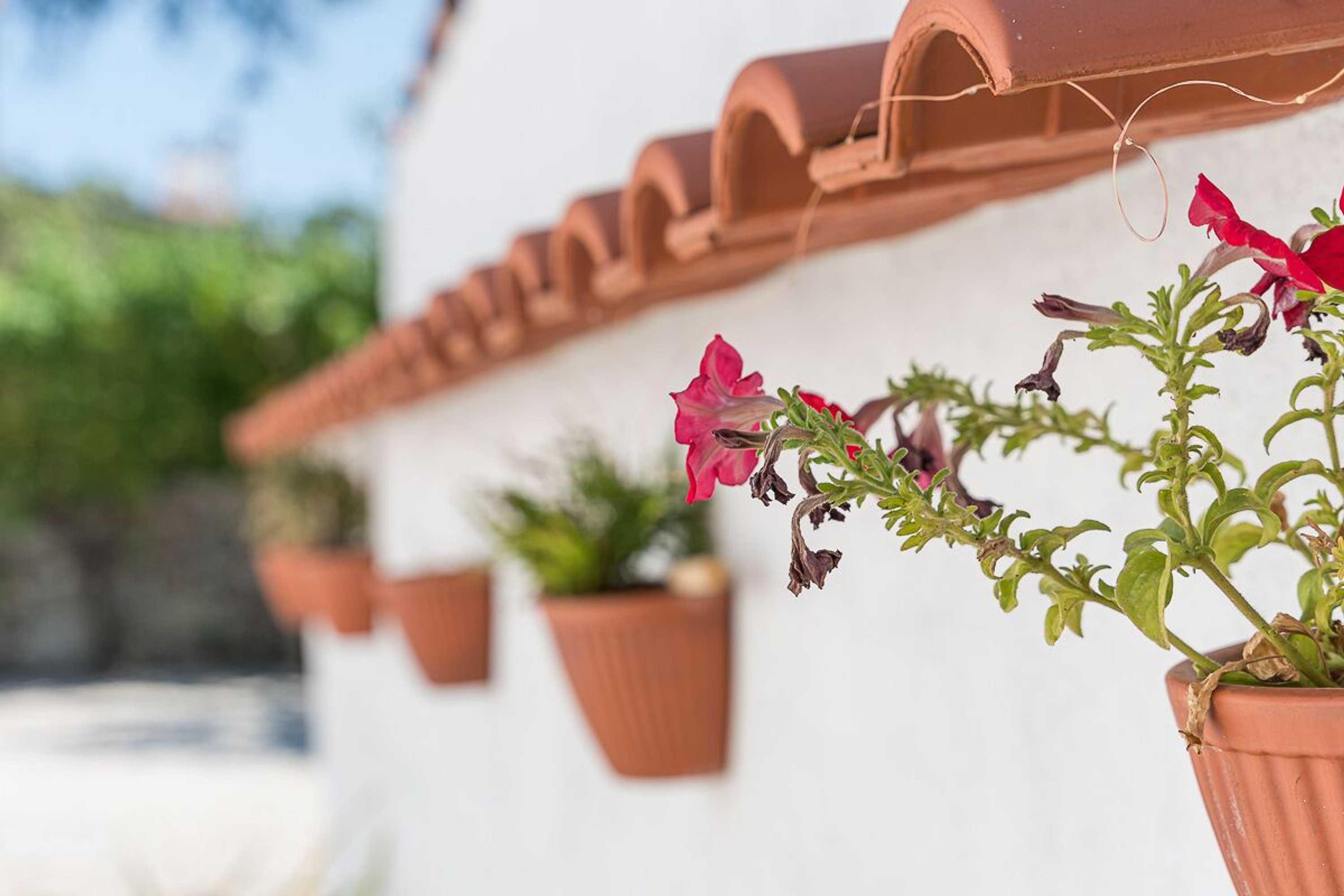 Gift card for Sevenfarm Gift card for Sevenfarm