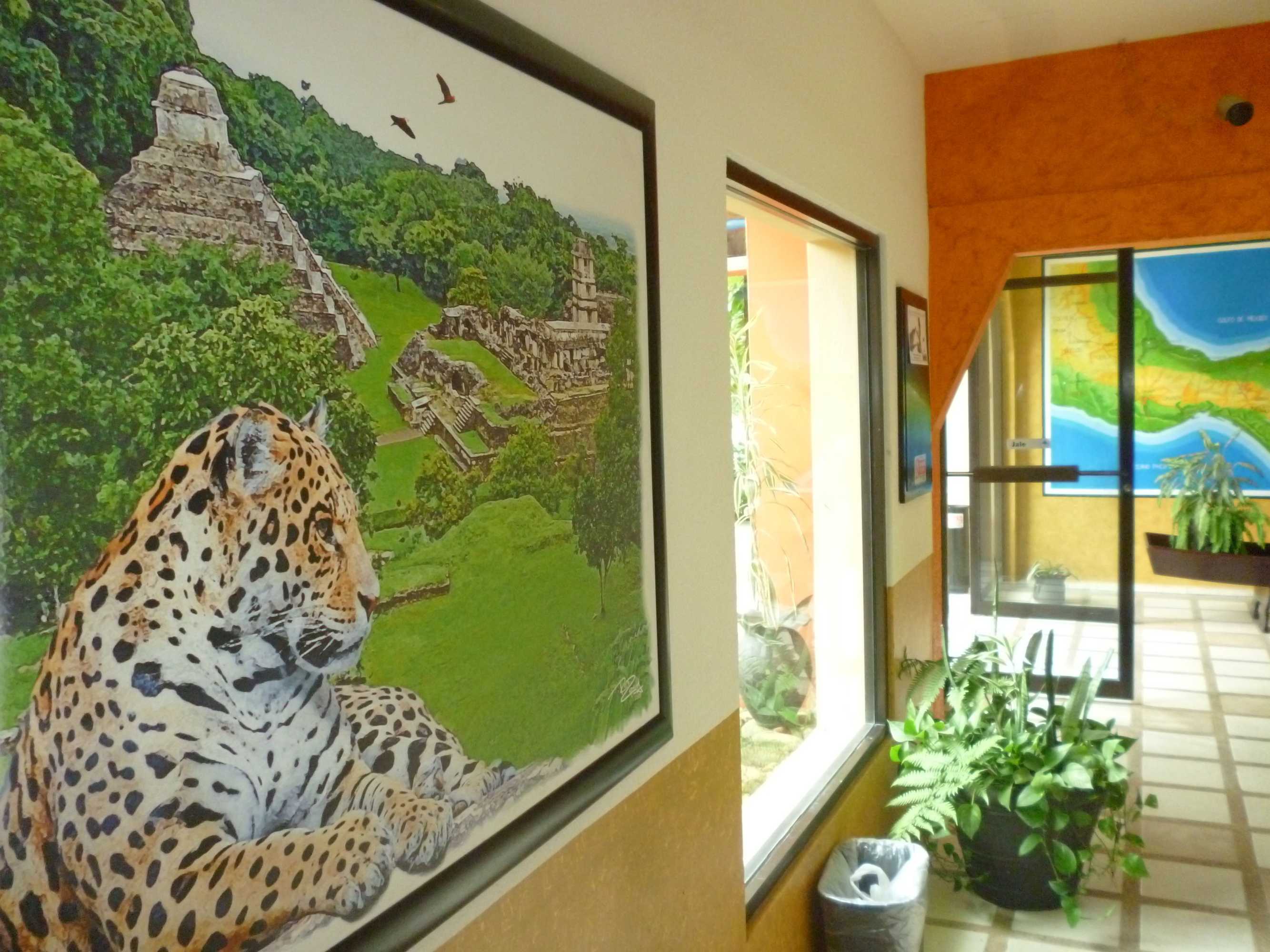 Gift card for Hotel Maya Tulipanes Palenque Gift card for Hotel Maya Tulipanes Palenque