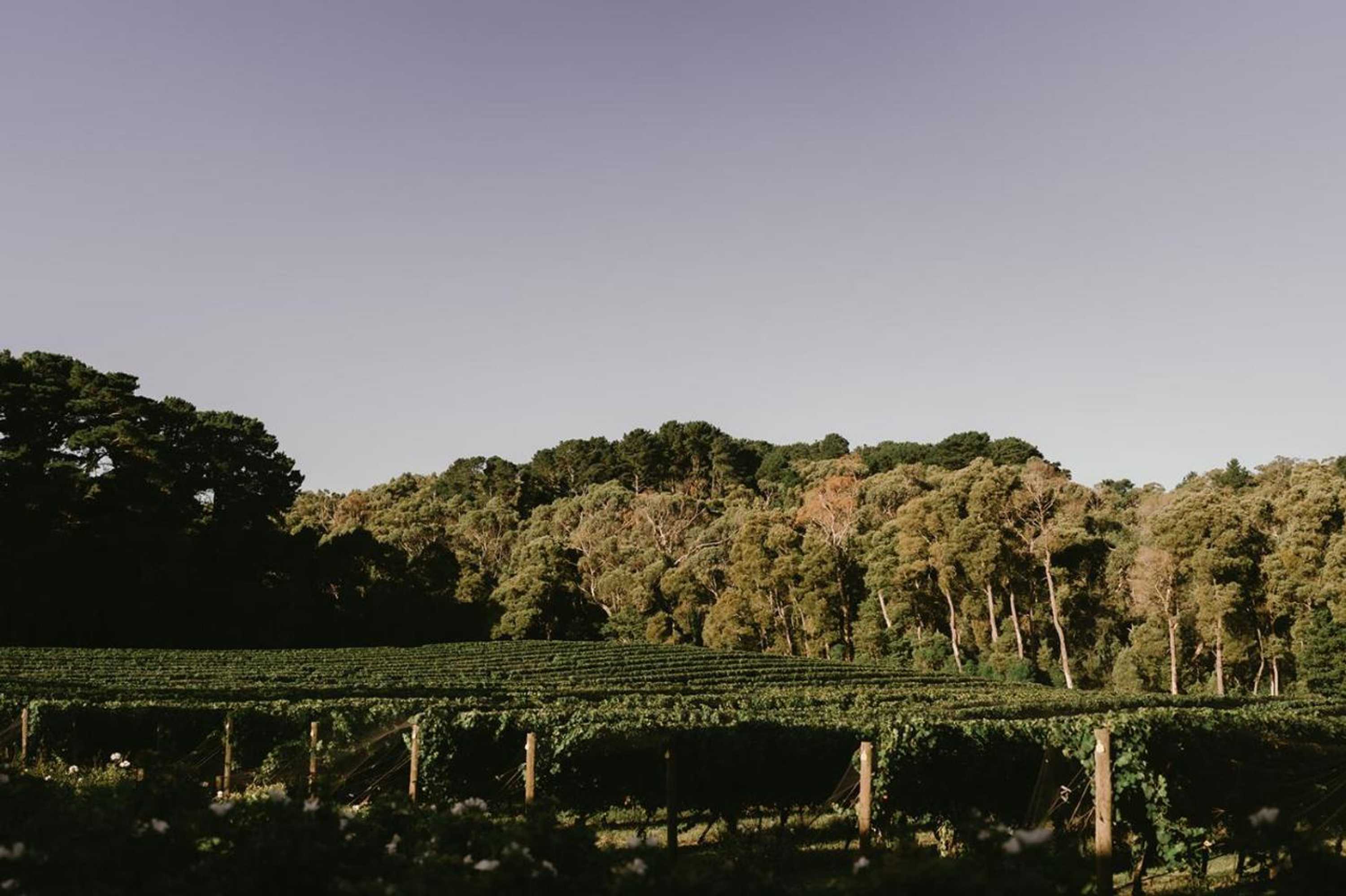 Gift card for Mantons Creek Estate & Lodge