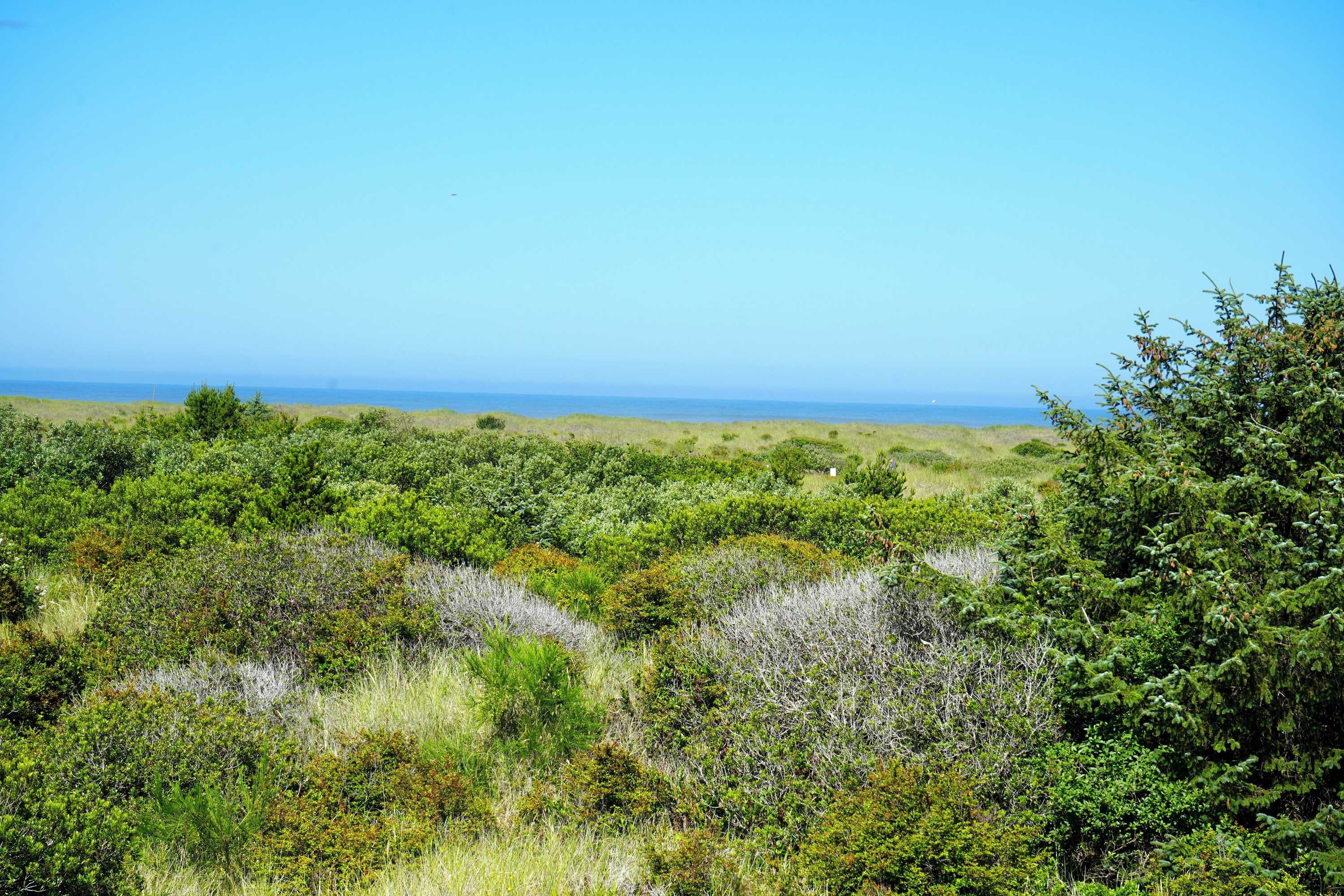 Gift card for Ocean Paradise Hotel & Resort