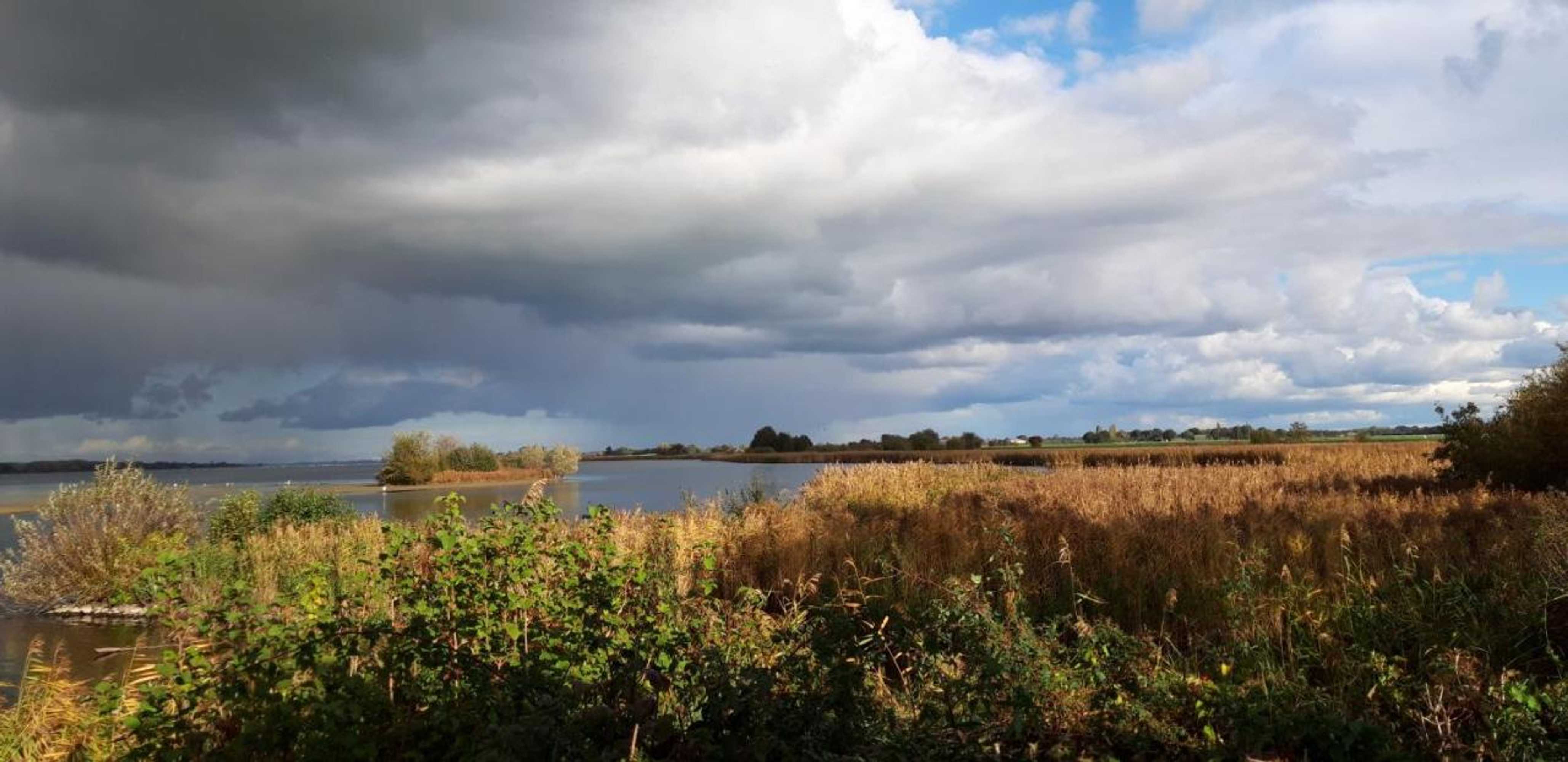 Gift card for B&b Veluwemeerpension