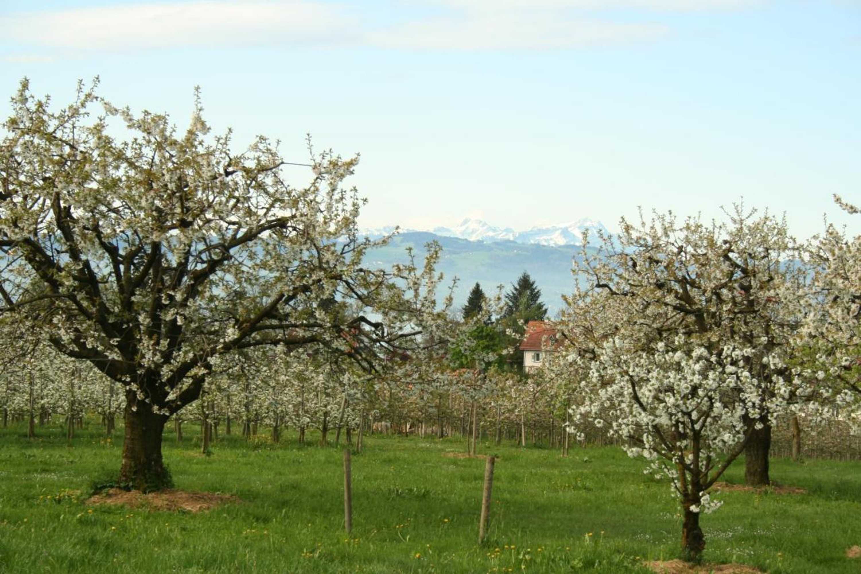 Gift card for Villa Linke am Bodensee