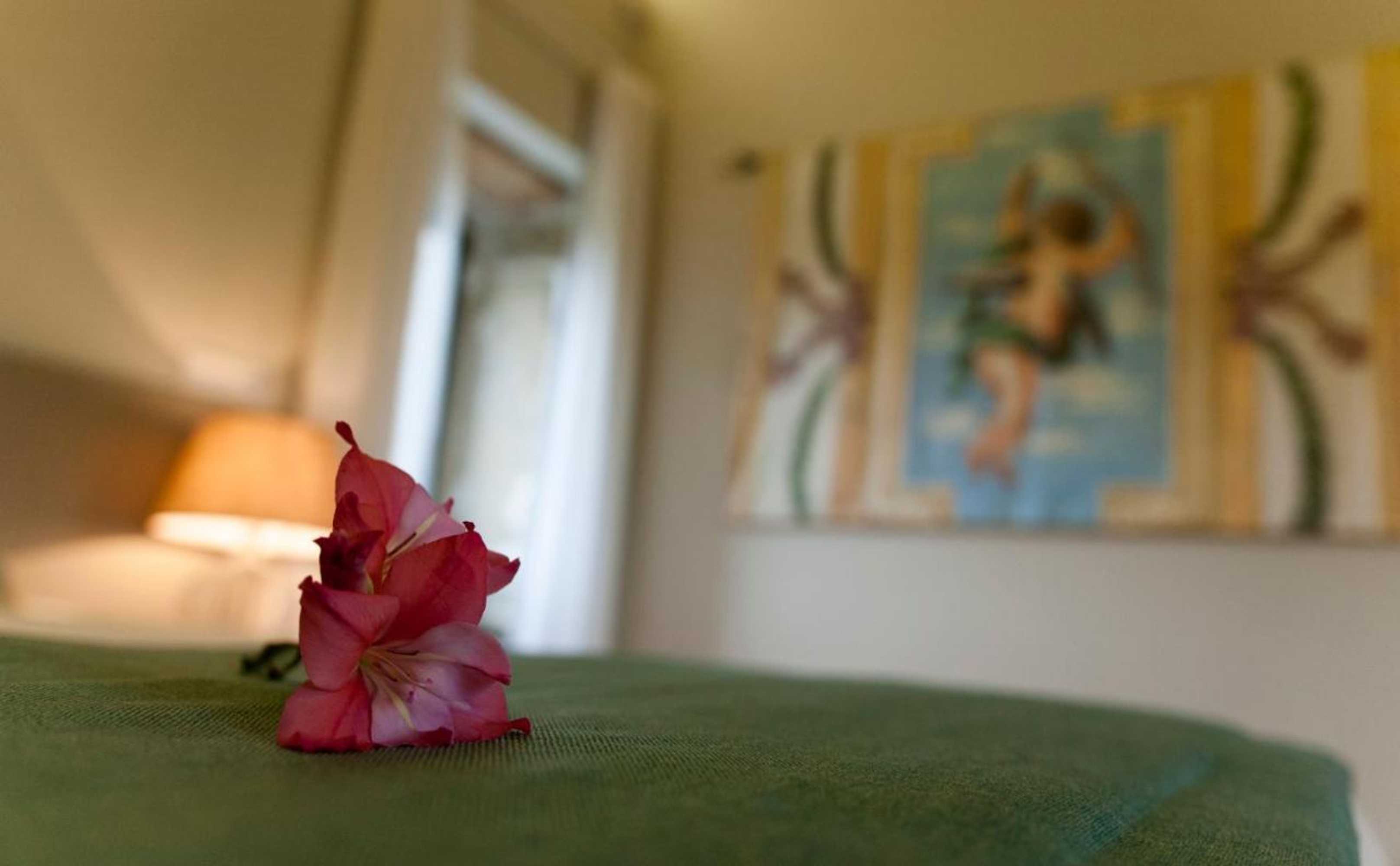 Gift card for Eira Dos Canastros