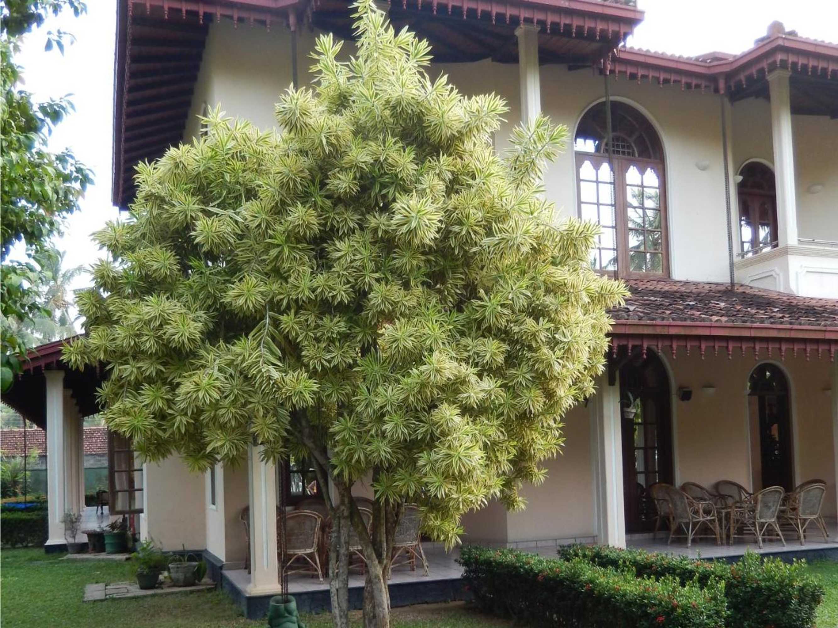 Gift card for Villa Ranmenika