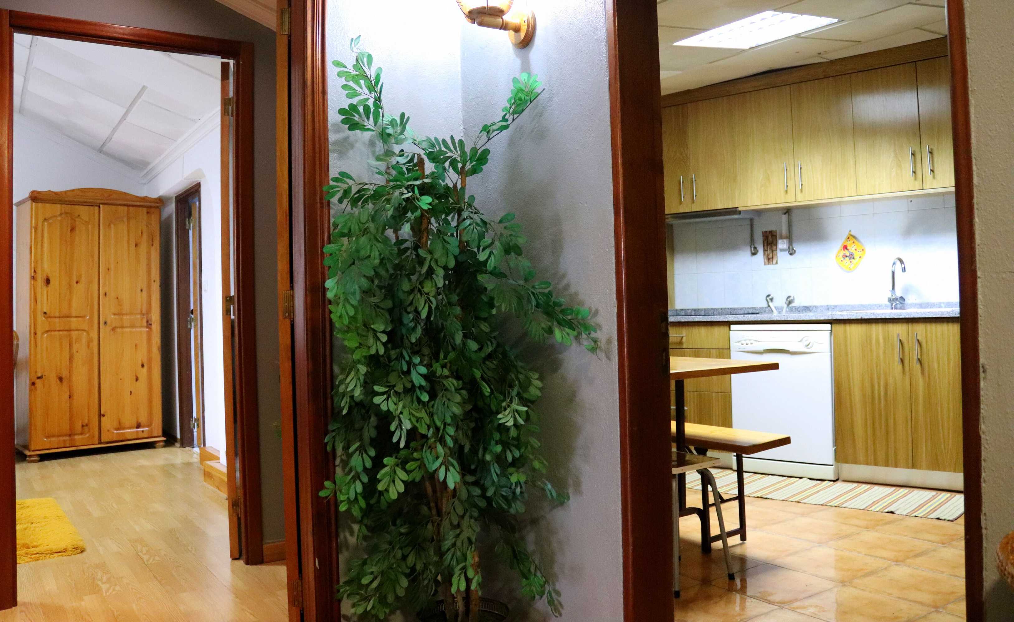 Gift card for Alojamentos Estrela Peles