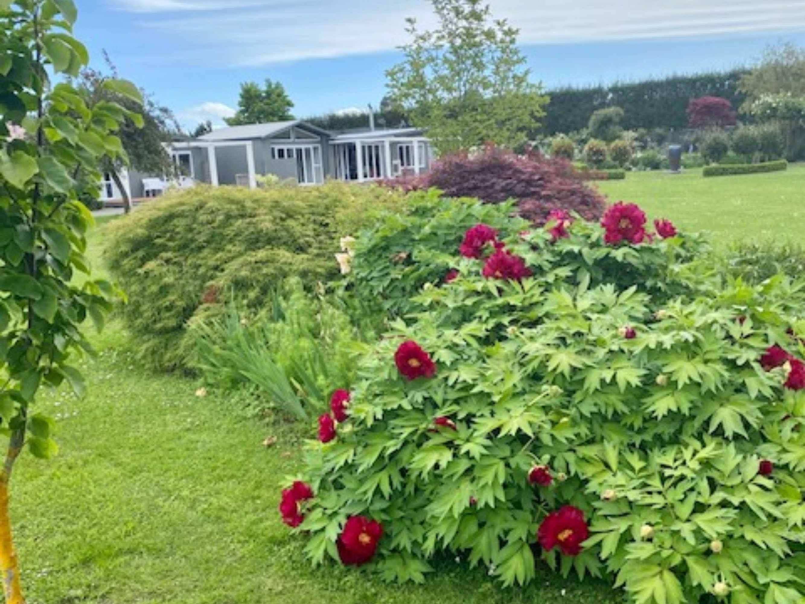 Gift card for Amuri Villas