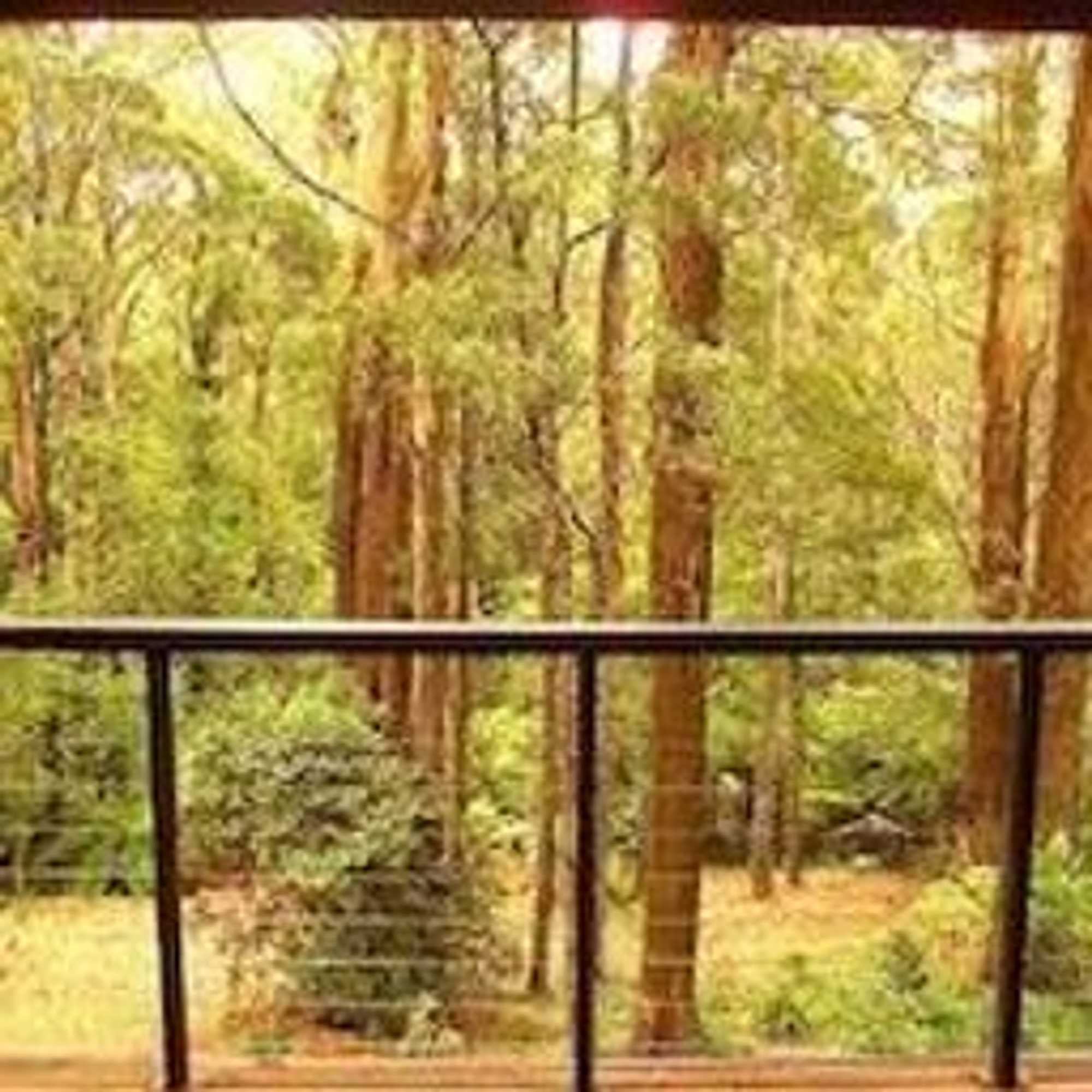 Gift card for Lochiel Luxury Accommodation Gift card for Lochiel Luxury Accommodation