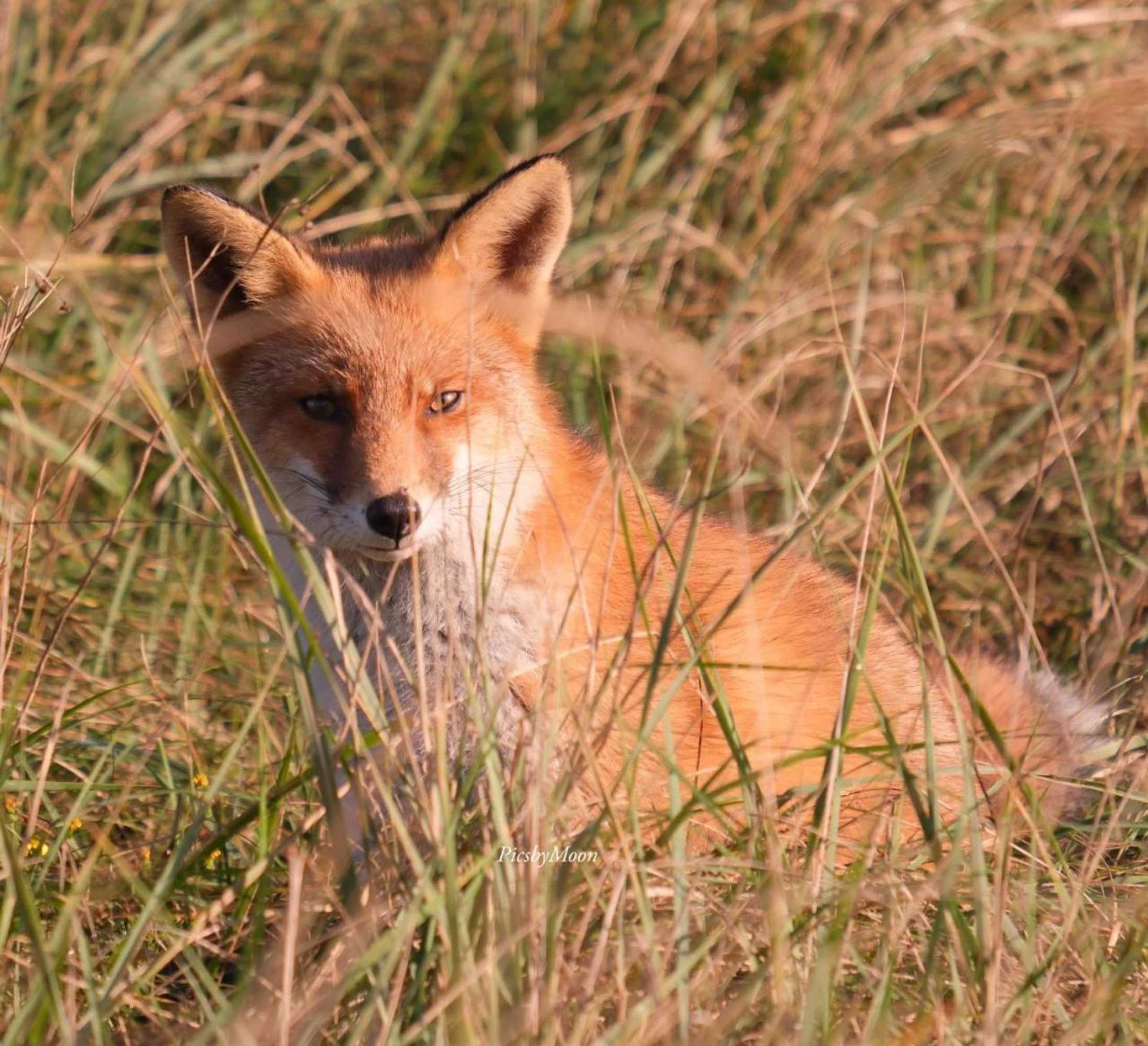 Gift card for B&b Oud-Zilven