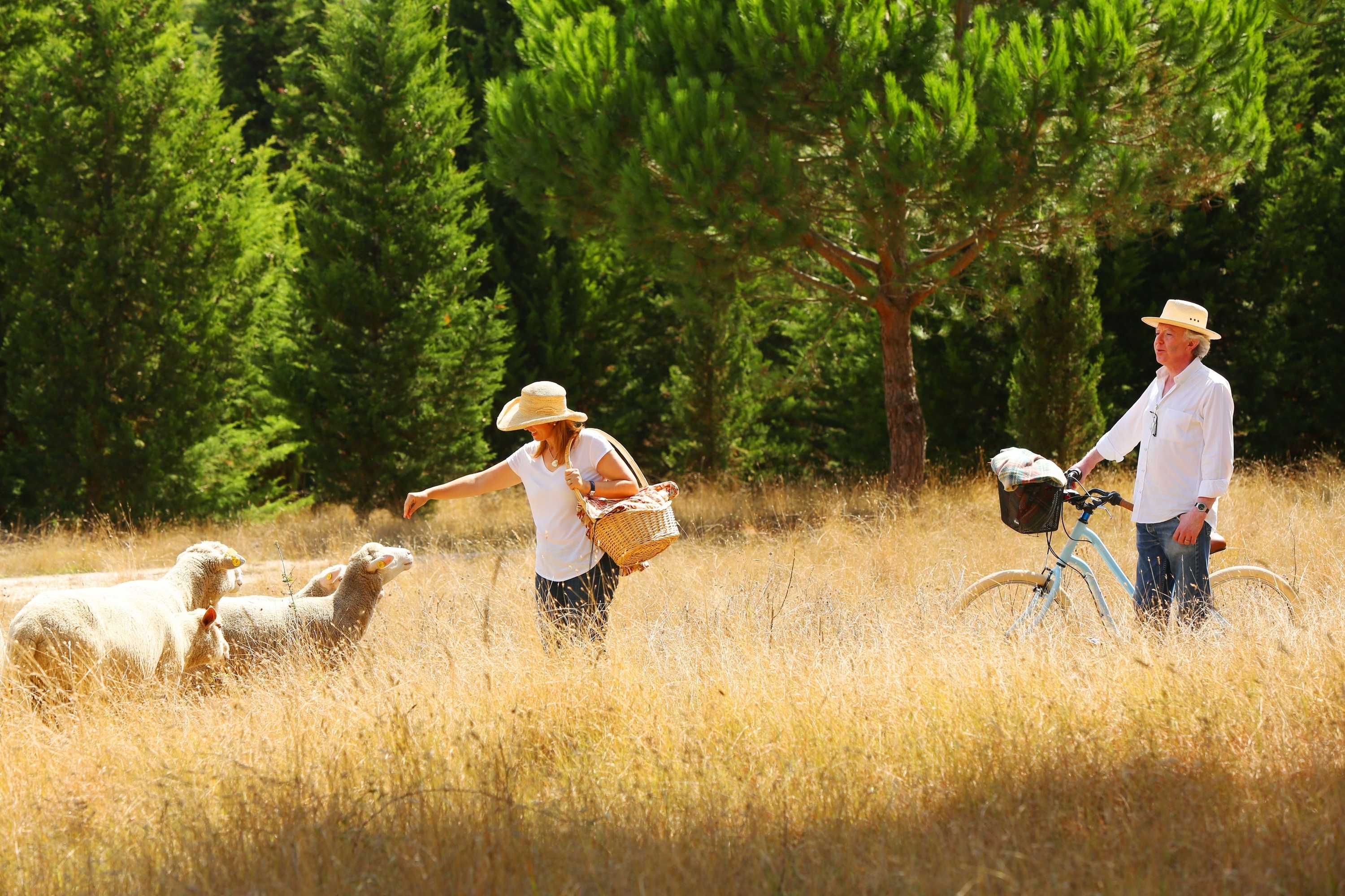 Gift card for Quinta Dos Machados - Countryside Hotel & Spa Gift card for Quinta Dos Machados - Countryside Hotel & Spa