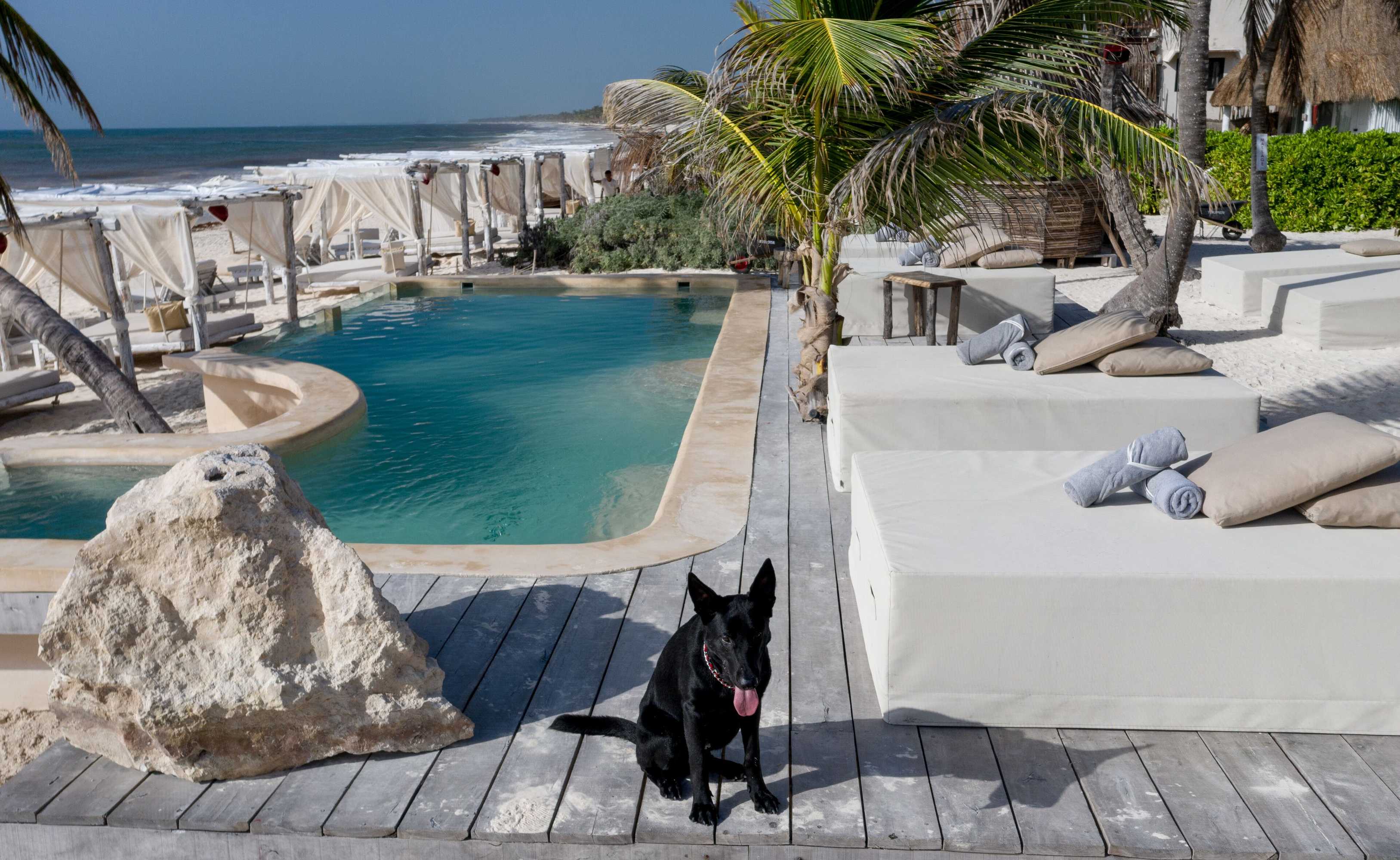 Gift card for Hotel Roc Luxe Tulum - Adults Only Gift card for Hotel Roc Luxe Tulum - Adults Only