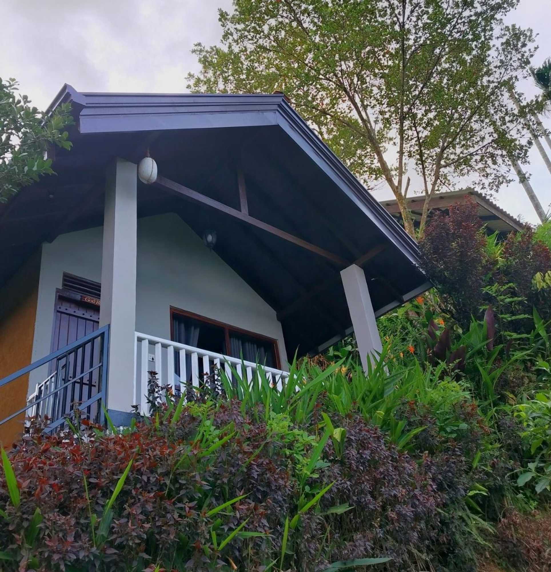 Gift card for Rainforest Nature House