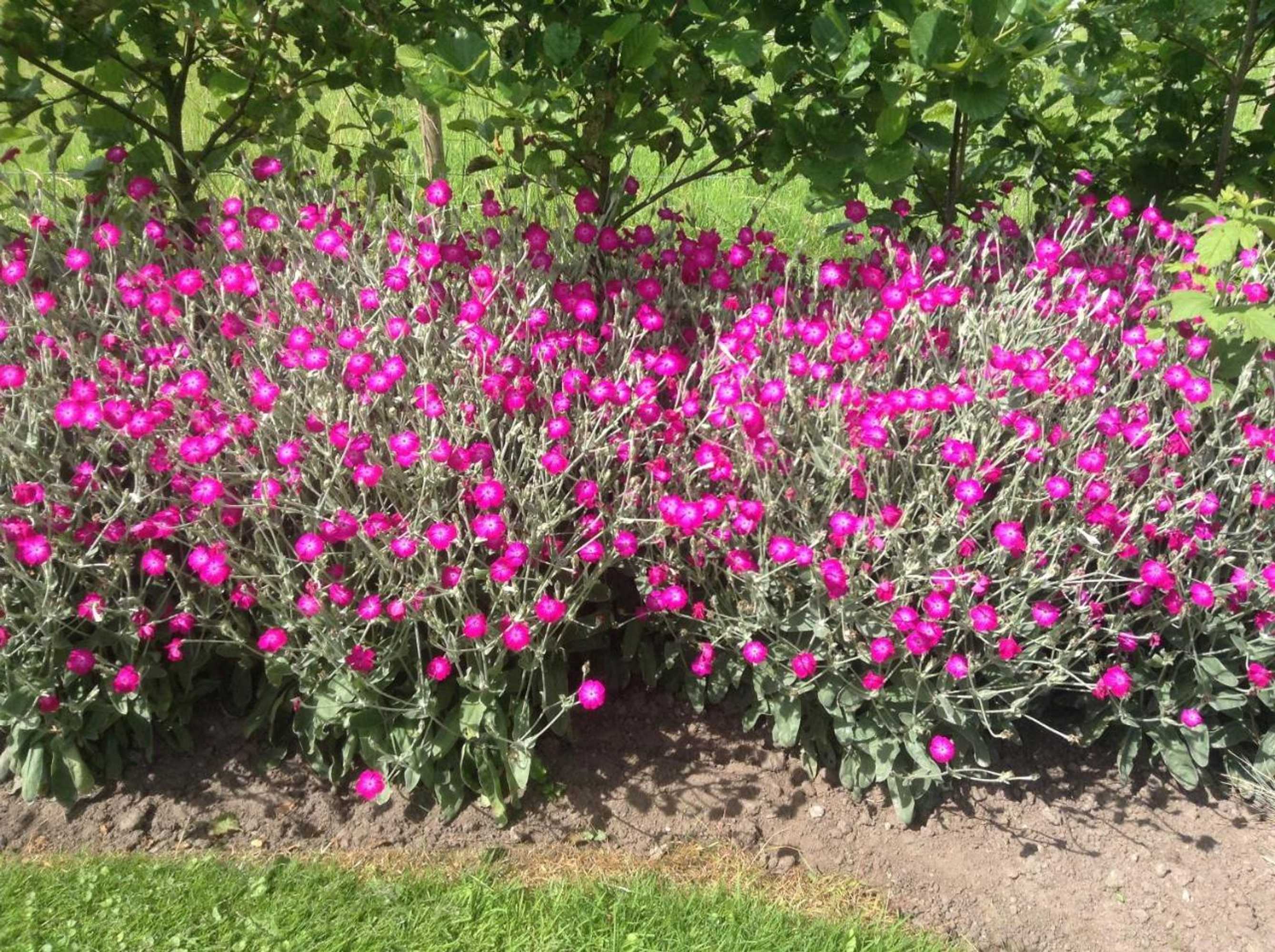 Gift card for B&b 't Landschap