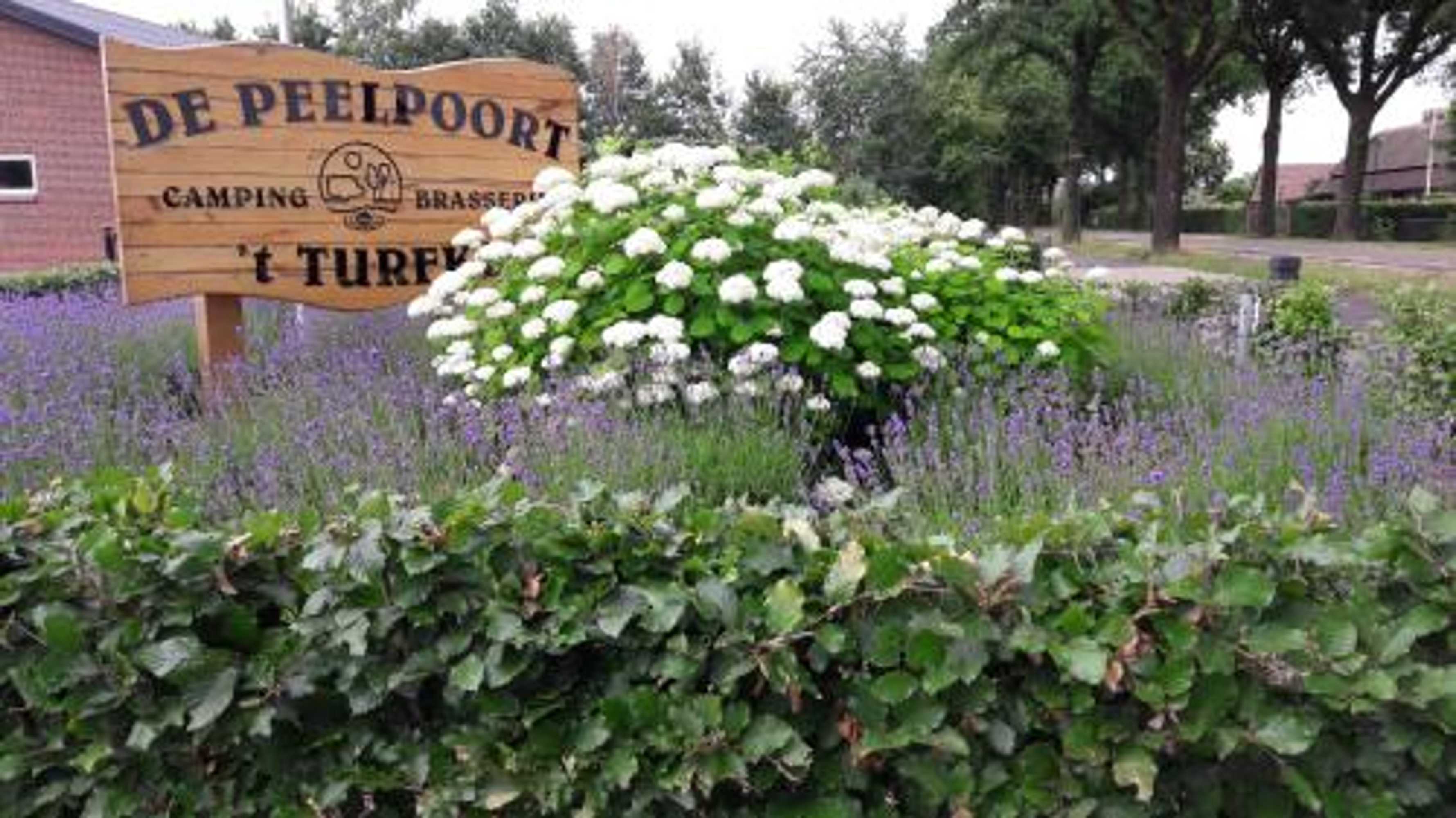 Gift card for Vakantiepark Camping de Peelpoort Gift card for Vakantiepark Camping de Peelpoort