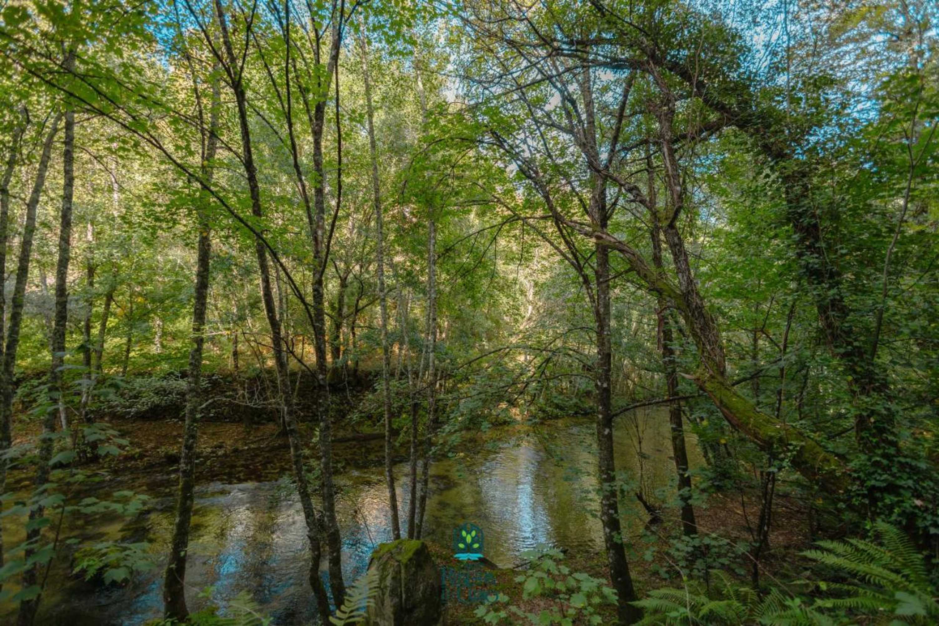 Gift card for Casa da Ribeira do Círio