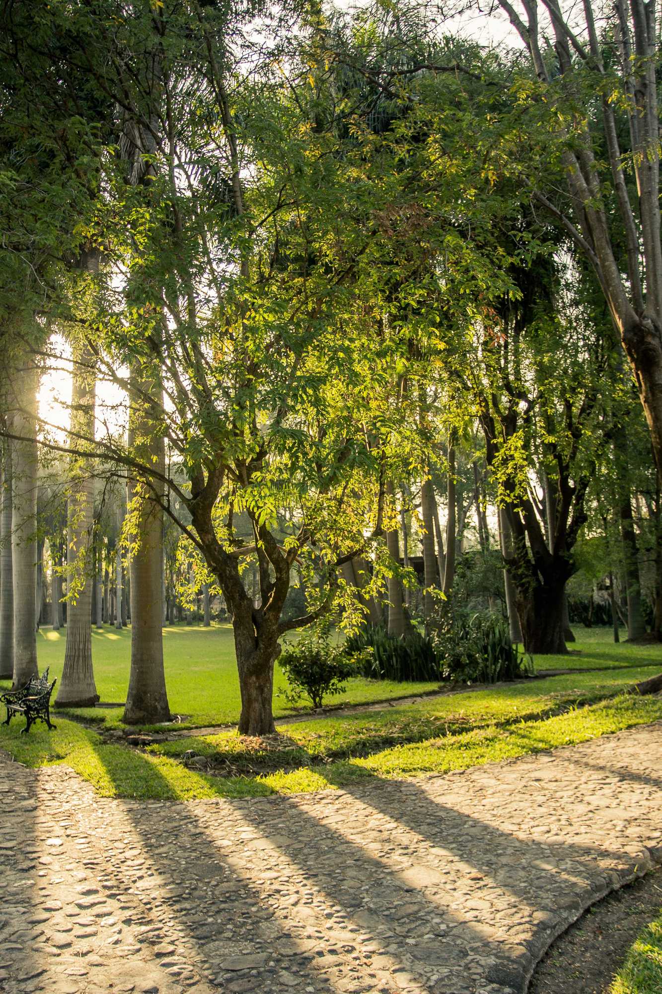 Gift card for Hacienda San Gabriel de Las Palmas Gift card for Hacienda San Gabriel de Las Palmas