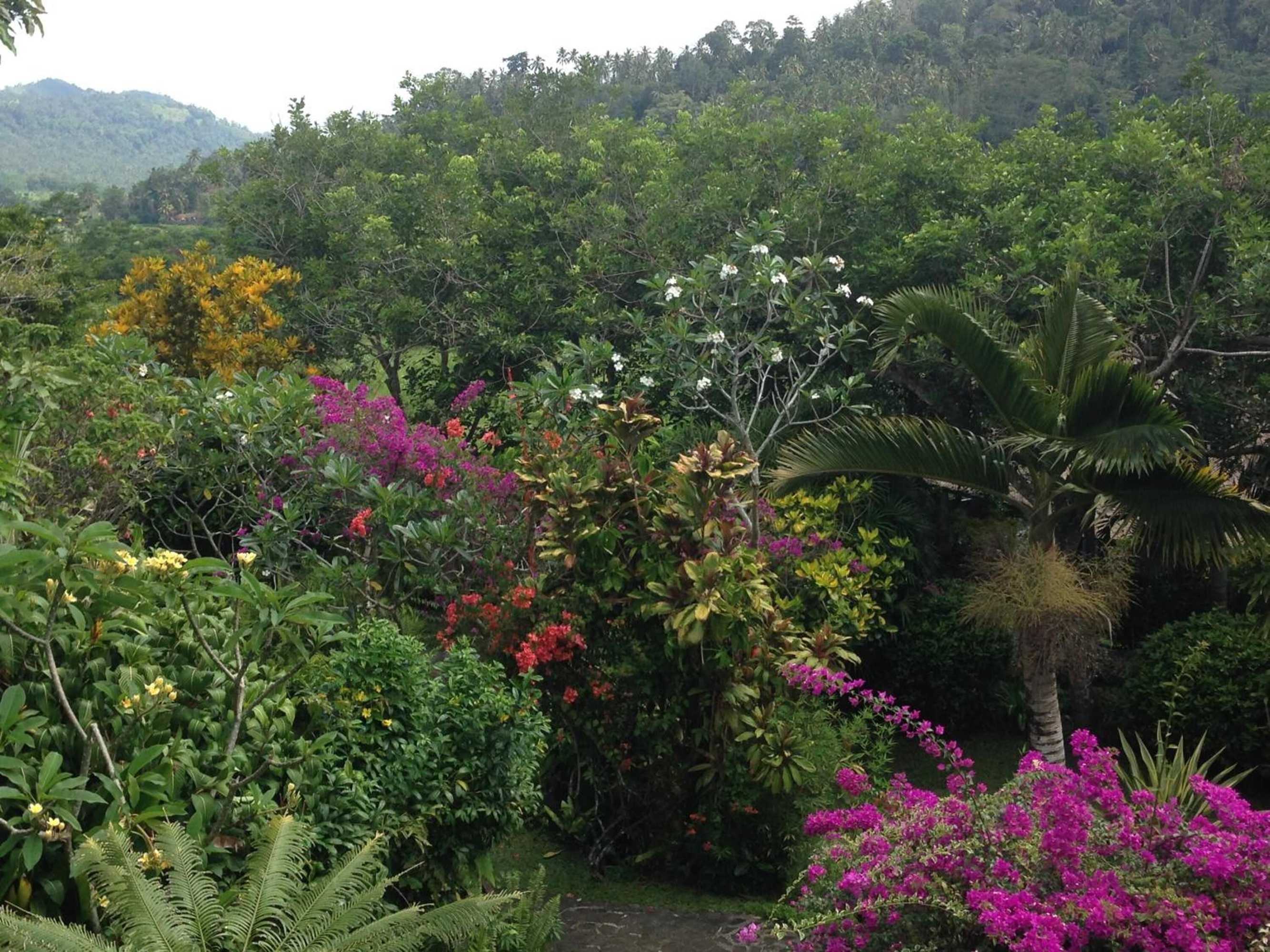 Gift card for Nirarta Centre For Living Awareness