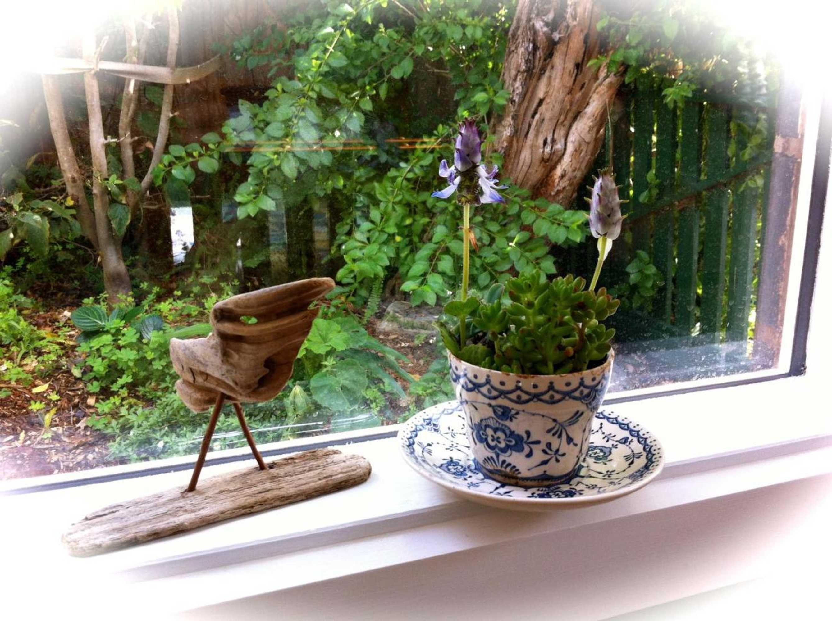 Gift card for Sea Salt Bnb