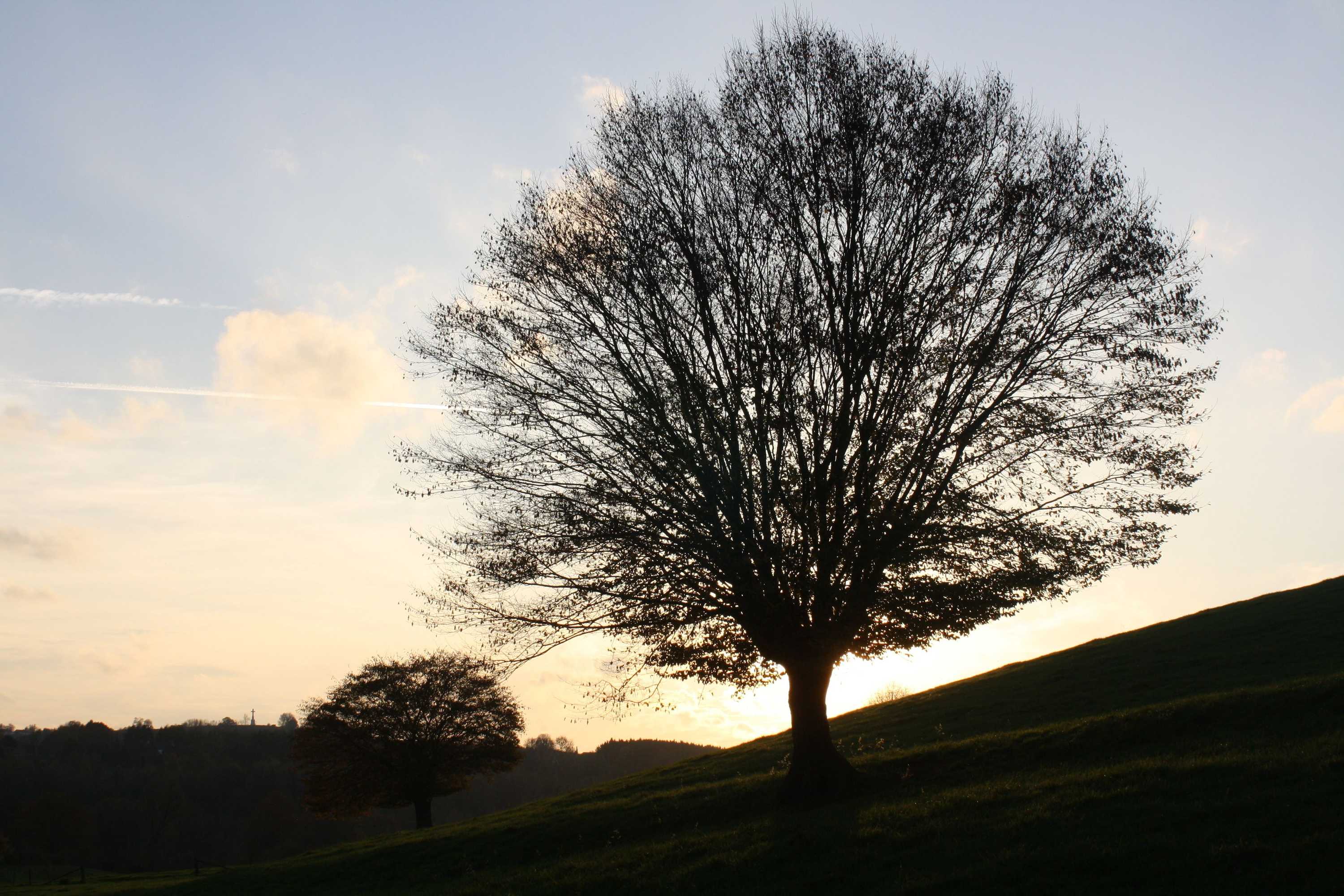 Gift card for Ô Macra