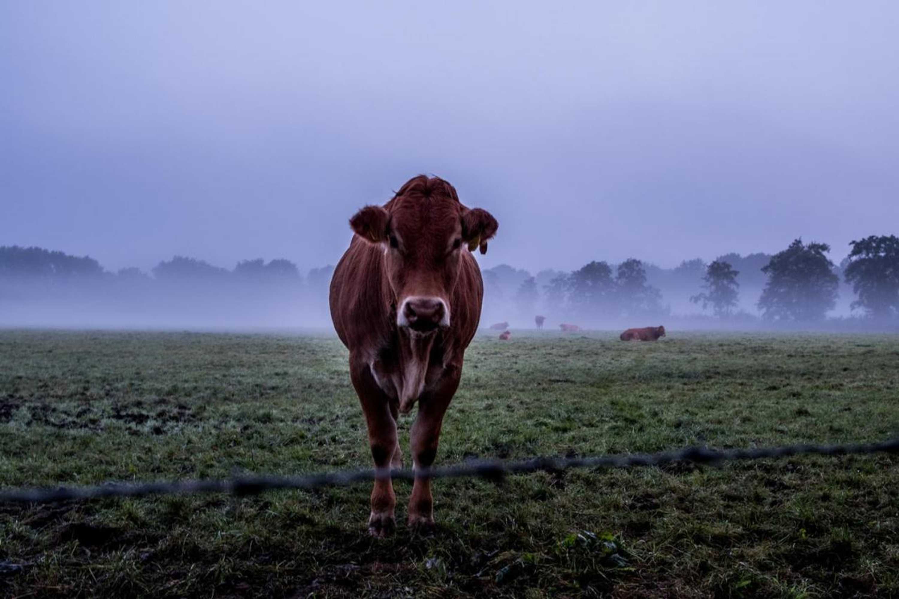 Gift card for Het Findament Tiny House