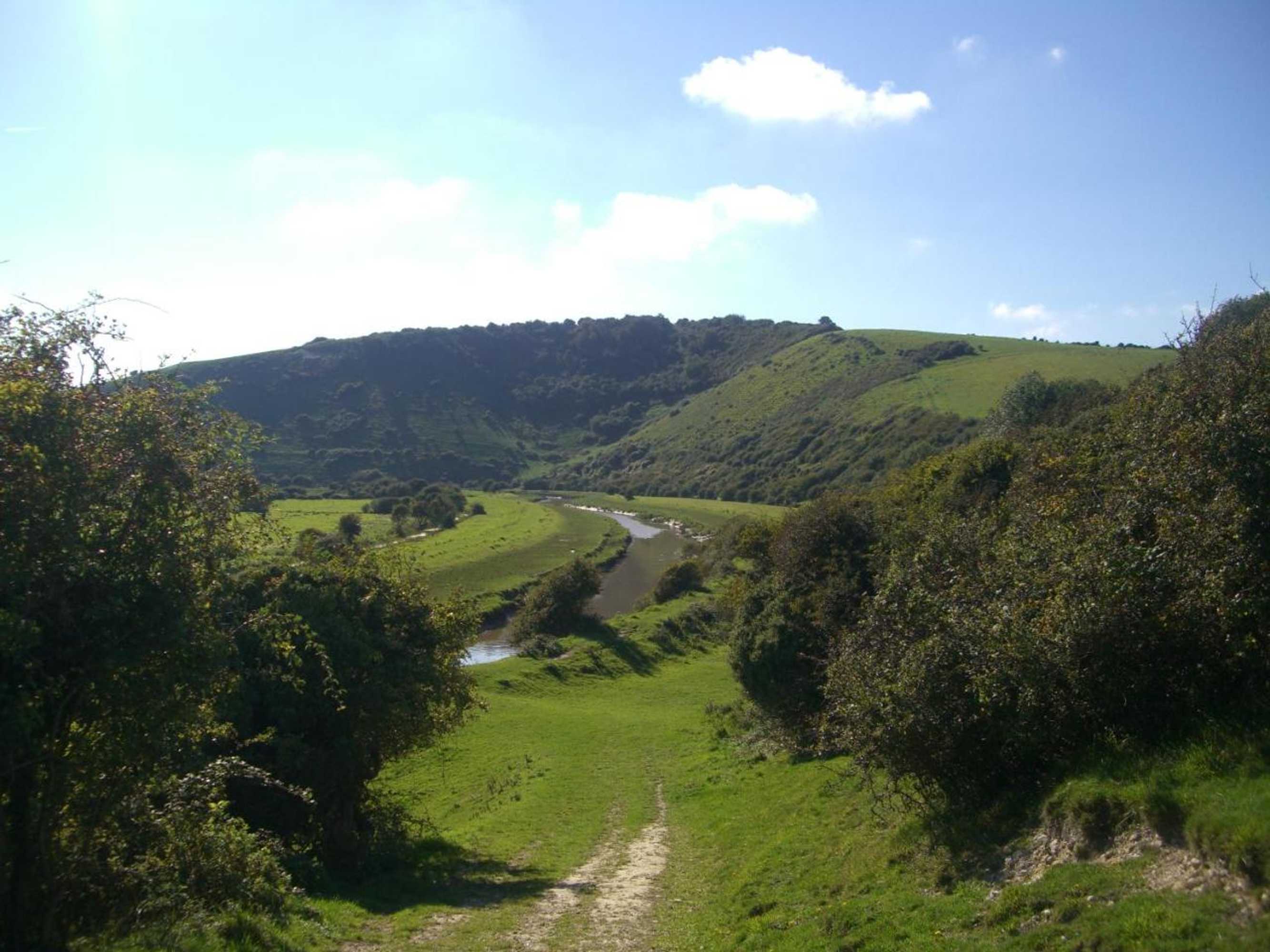 Gift card for Lamb's Knees