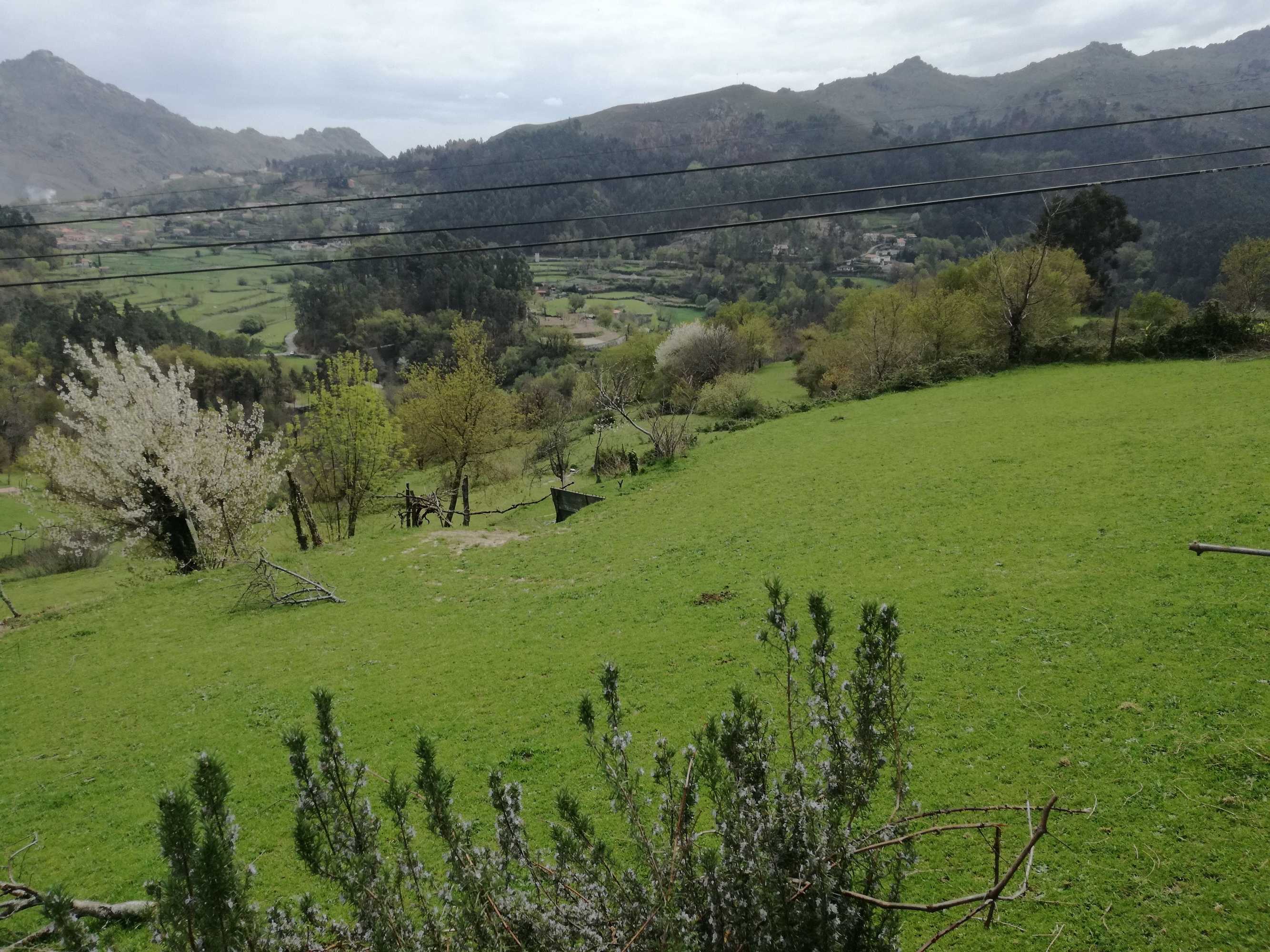 Gift card for Casa de Paulus