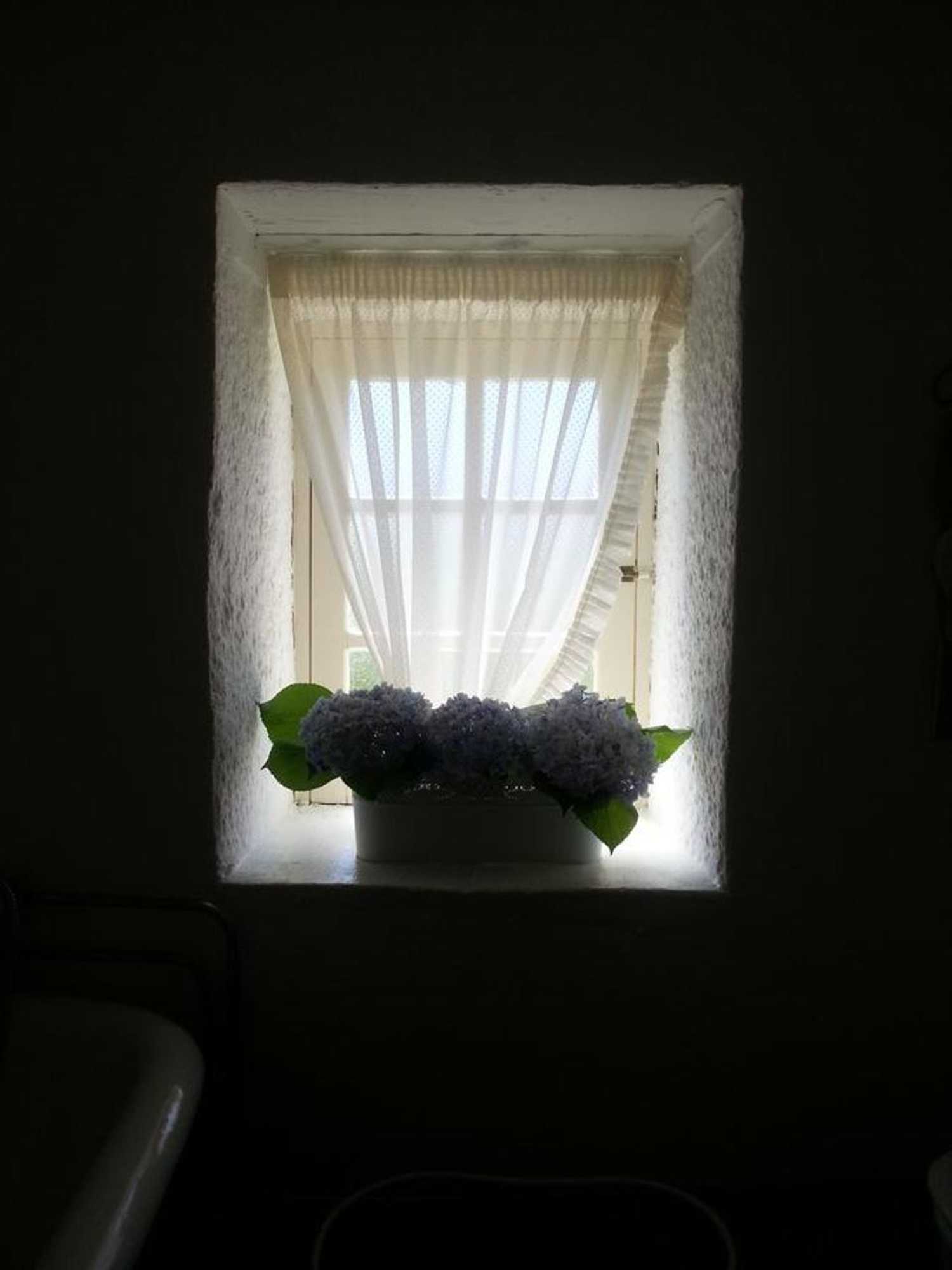 Gift card for O Zé Já Dormiu Aqui