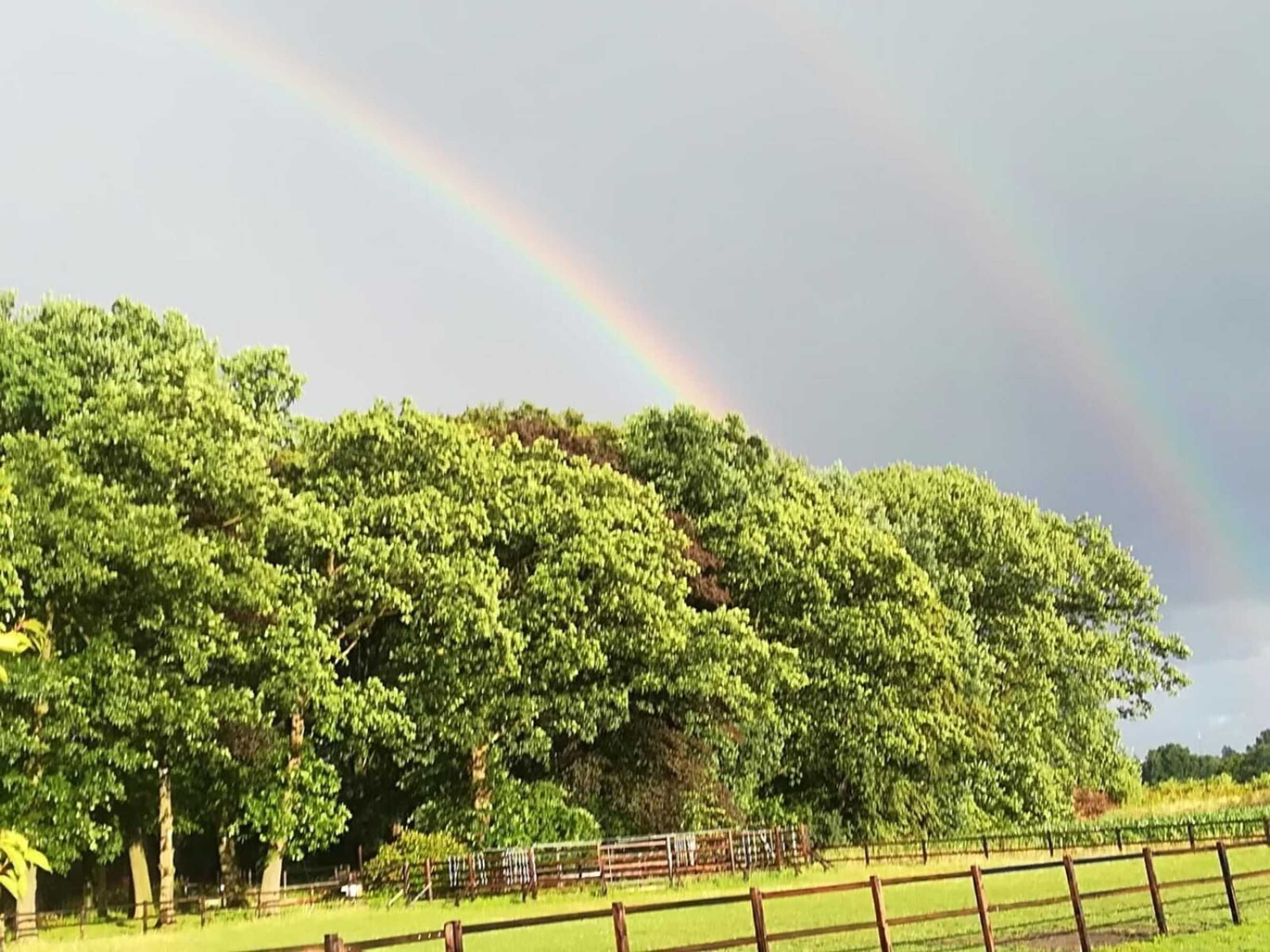 Gift card for Erve Het Roolvink