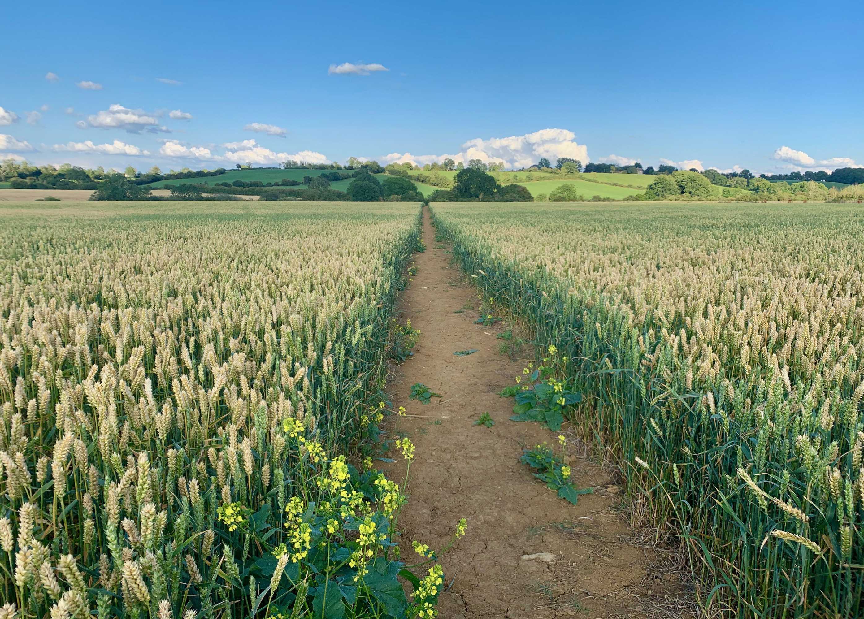 Gift card for Garden Barn