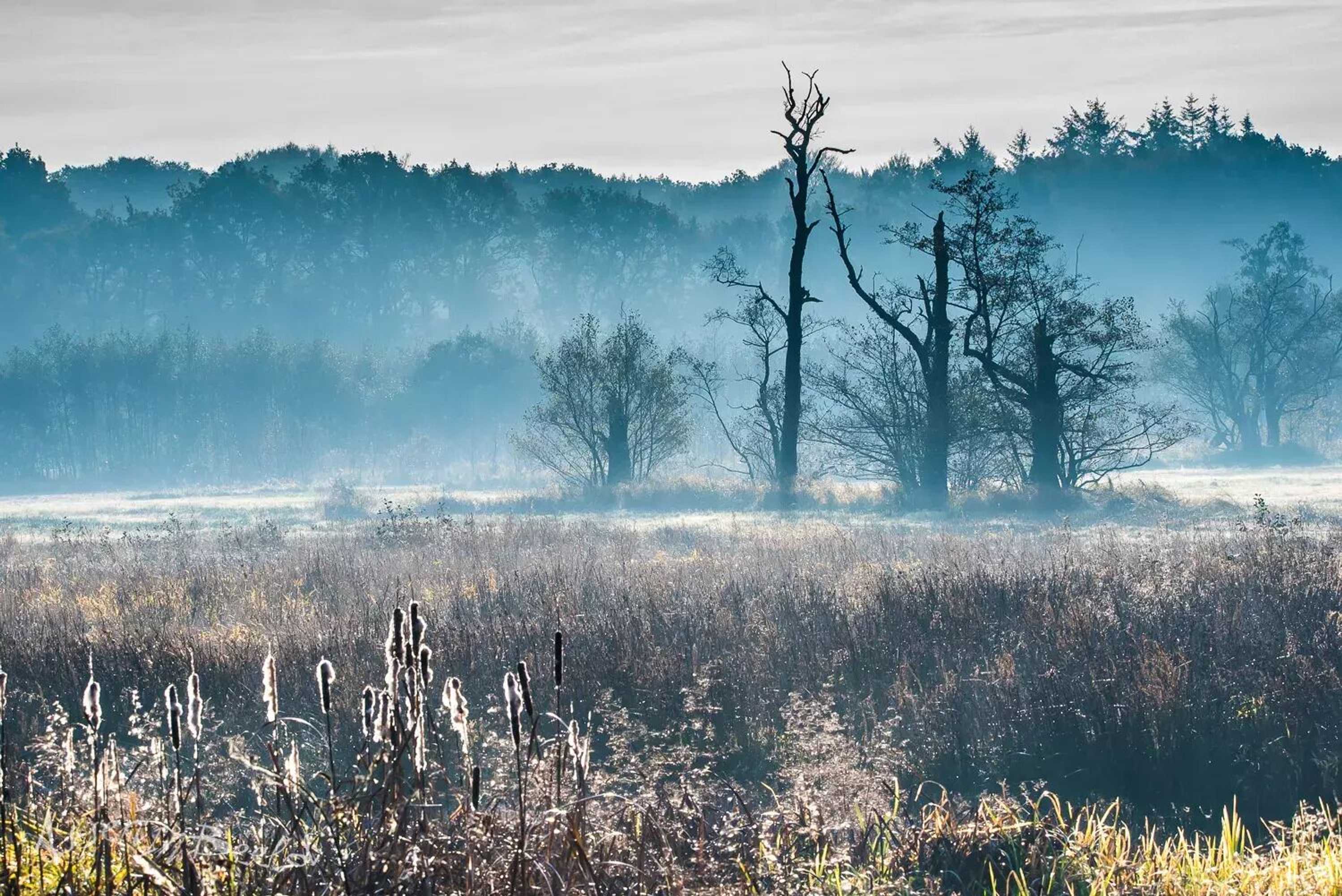 Gift card for City Hotel de Jonge