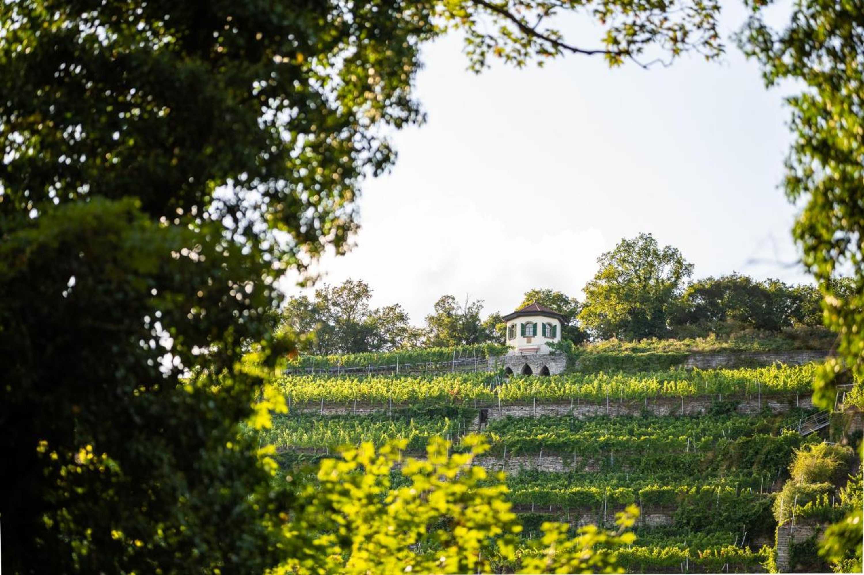 Gift card for Schlosshotel Horneck