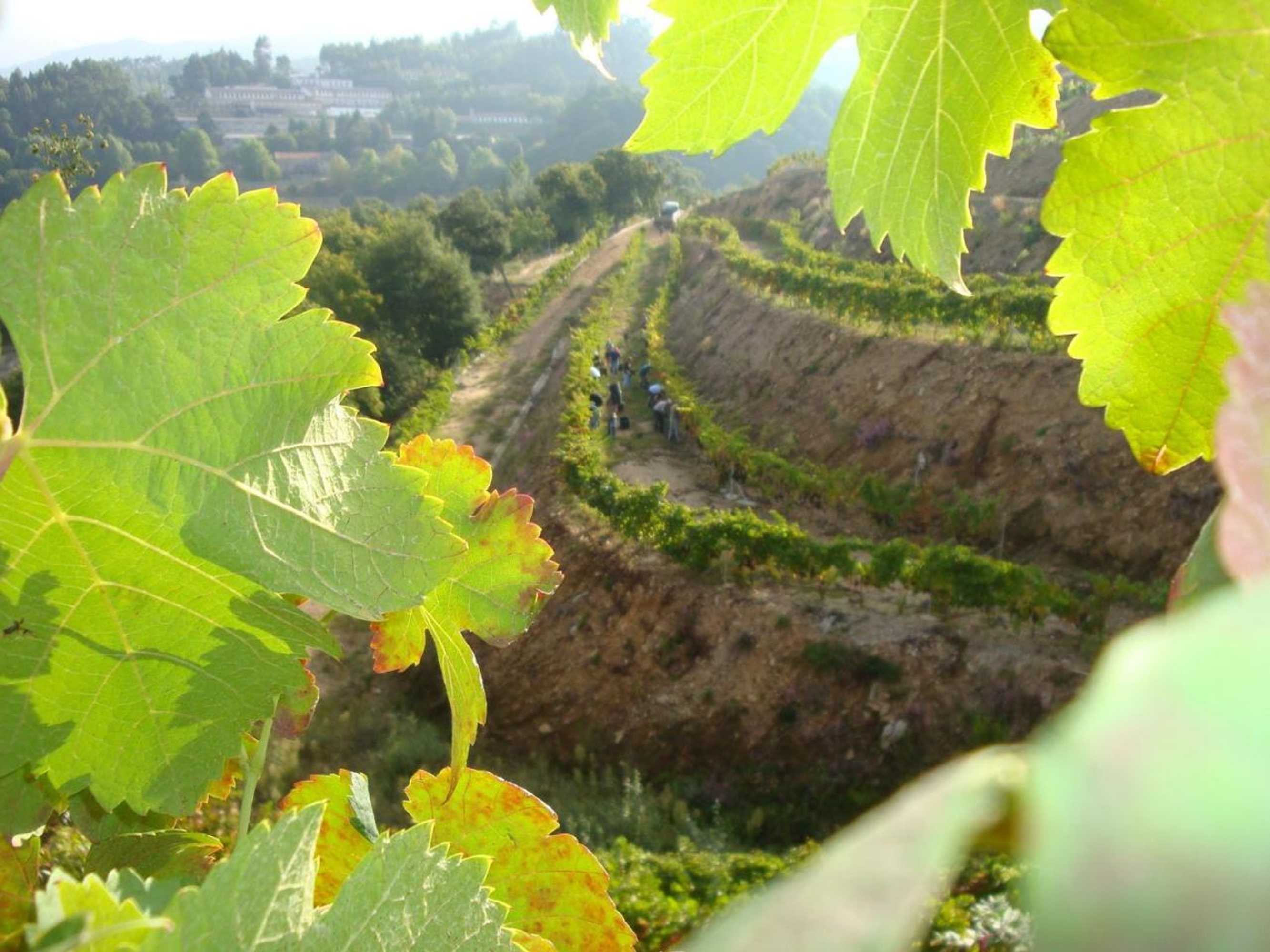 Gift card for Encosta Dos Túneis - Turismo E Lazer