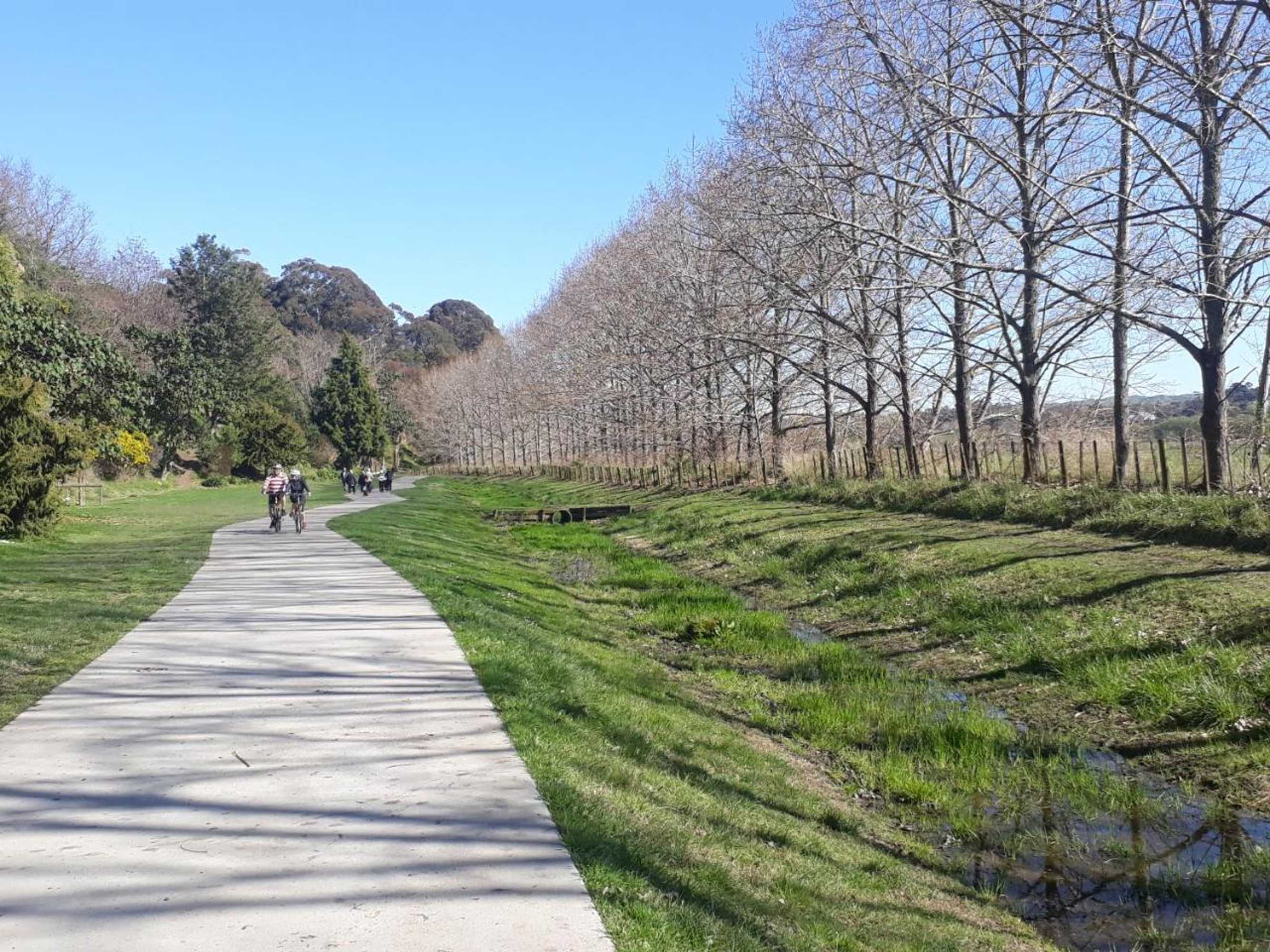 Gift card for Hidden Gem in Oaklands