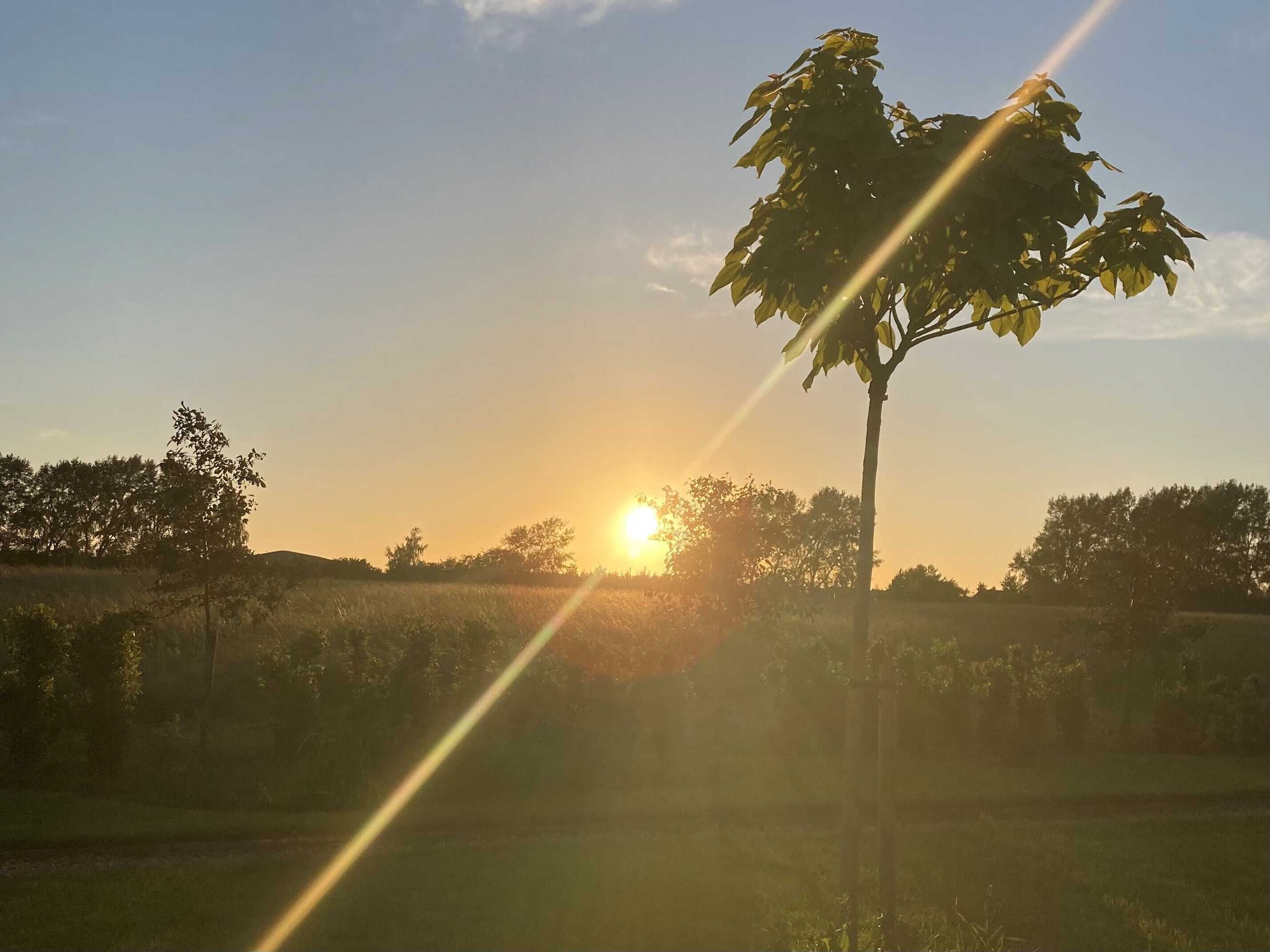 Gift card for The Yard @ Pringle Farm