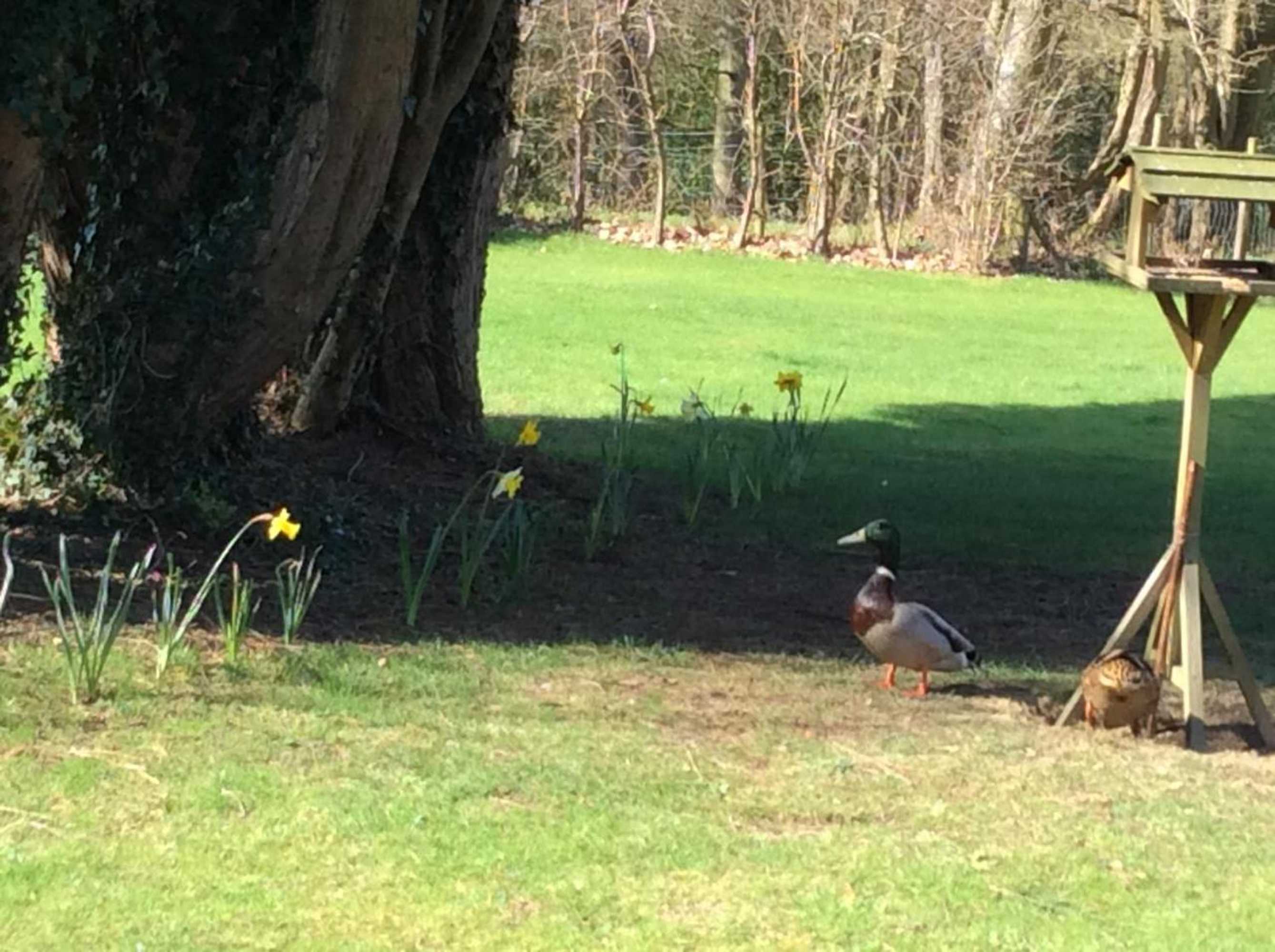 Gift card for The Firs