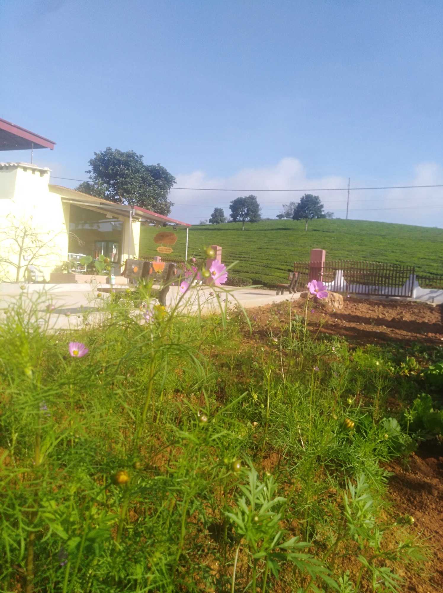 Gift card for Homestay Lang Che 69