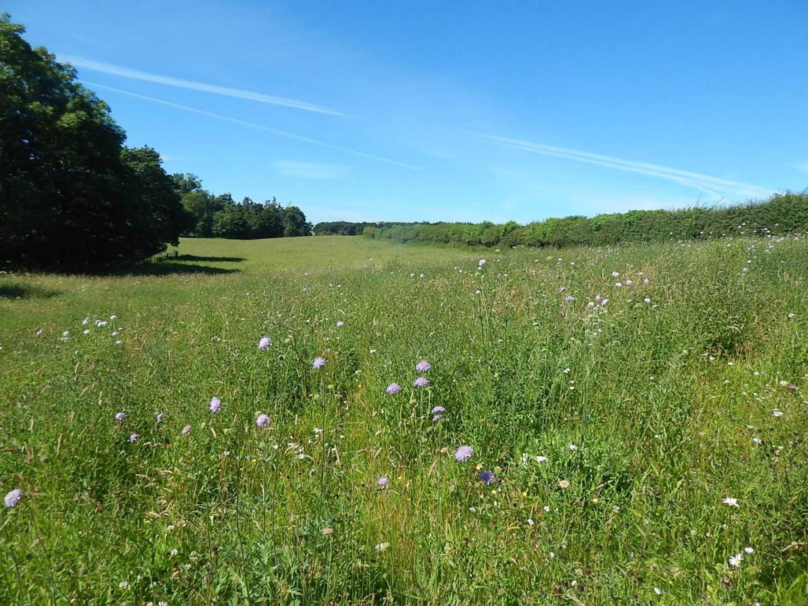 Gift card for Plumtree Cottage