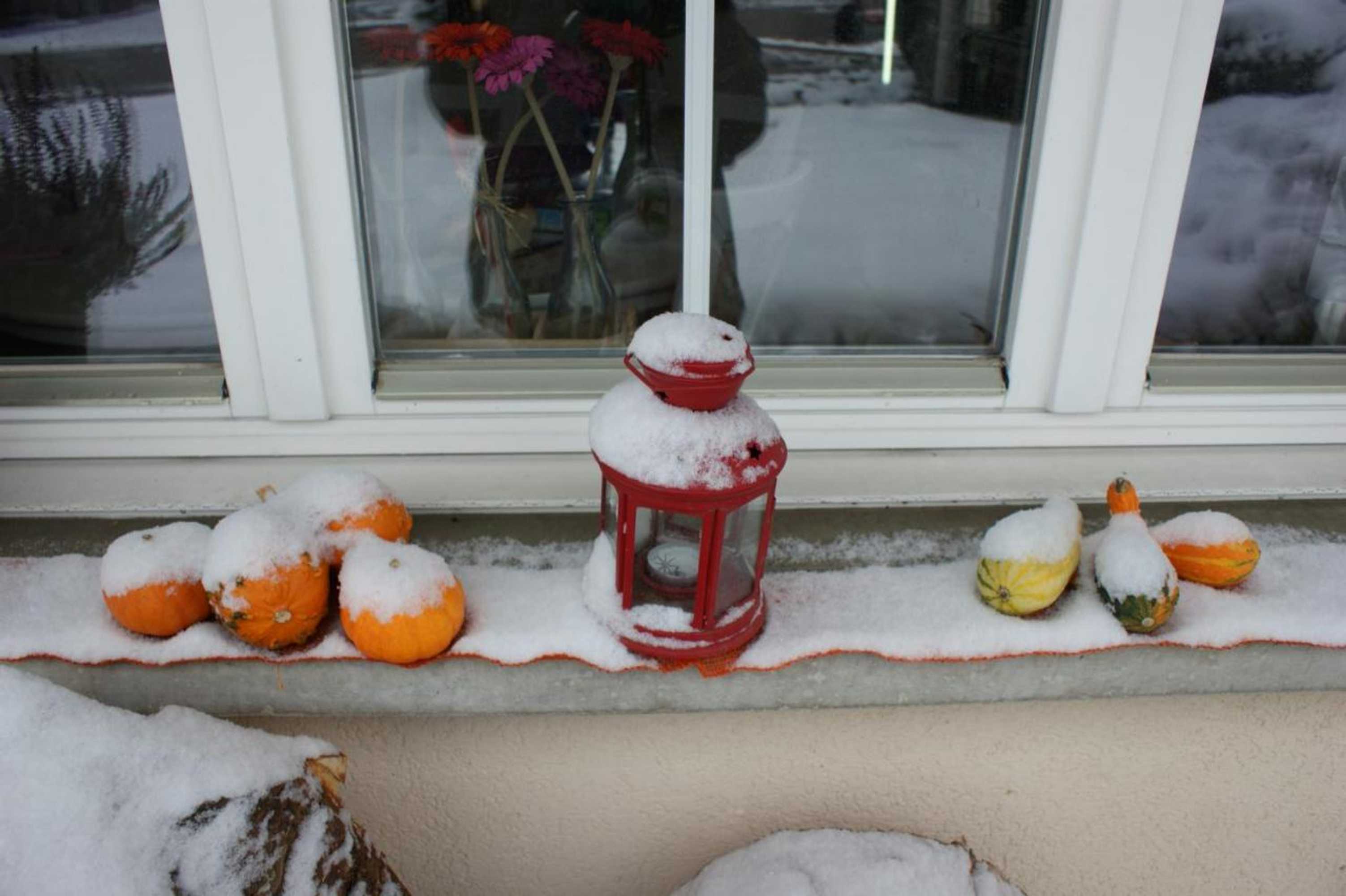 Gift card for Ferienwohnung Und B&b Chasa Janett