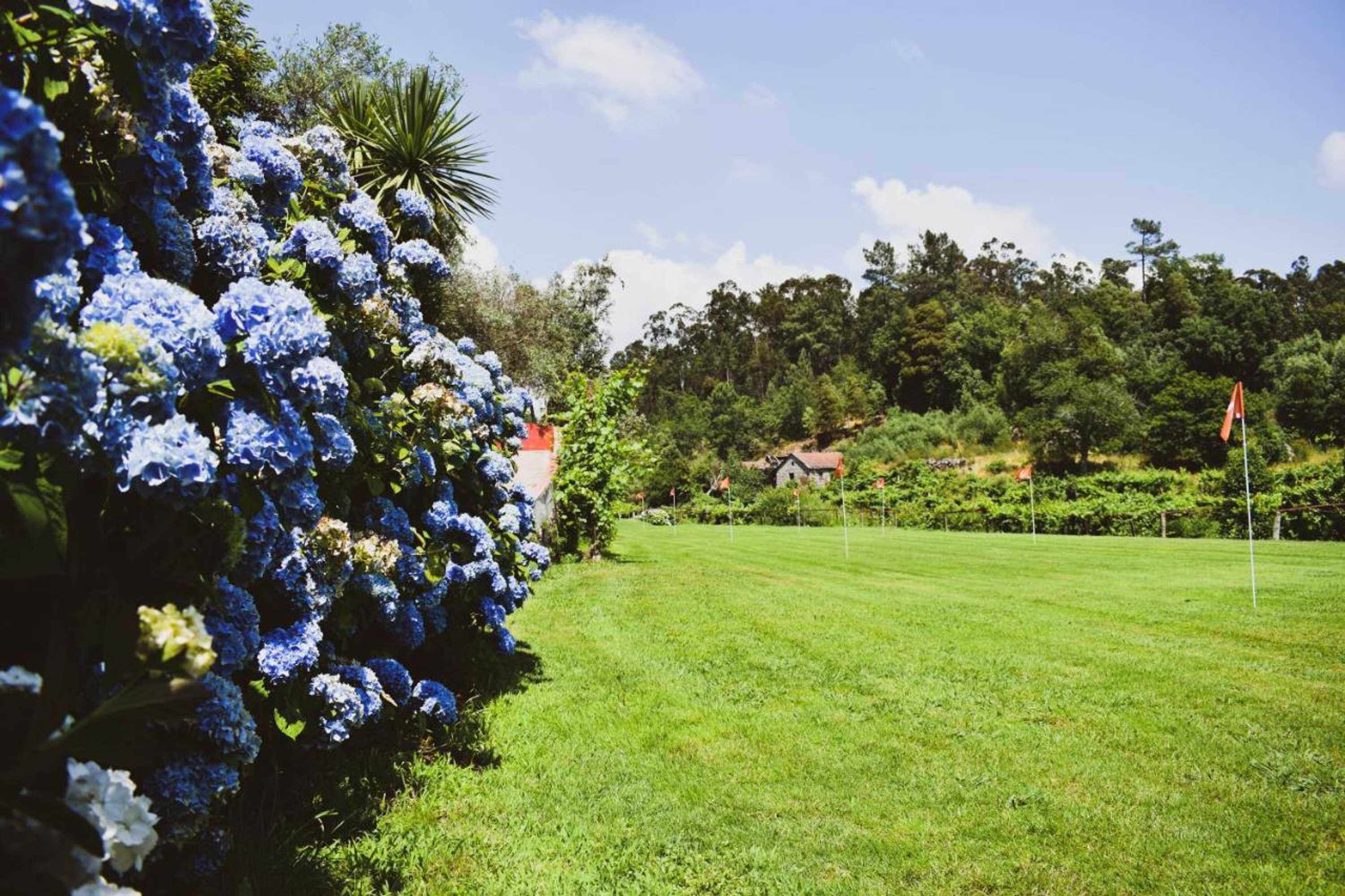 Gift card for Quinta do Rio Sousa