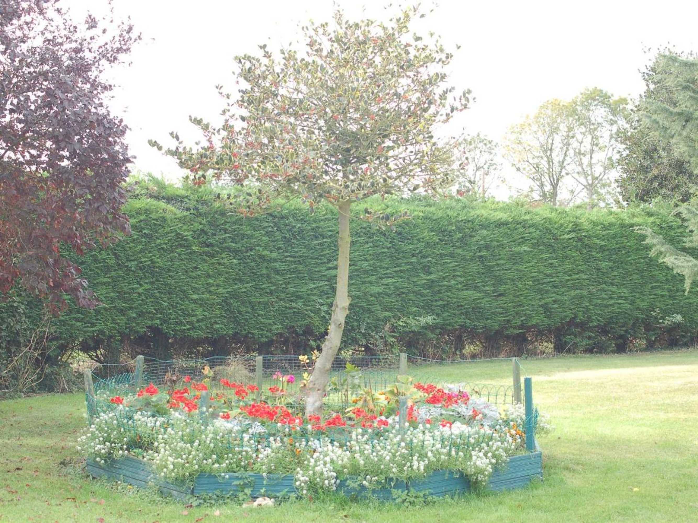 Gift card for Strenneth