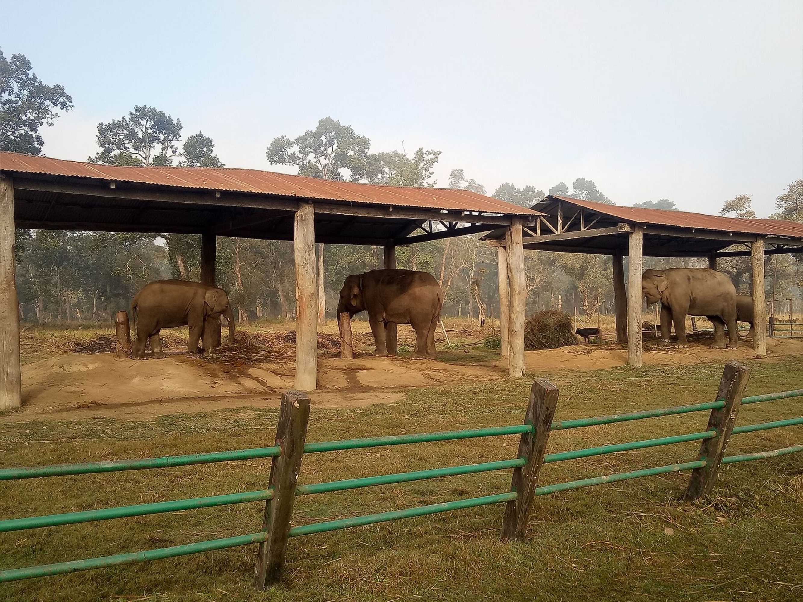 Gift card for Green Park Chitwan Gift card for Green Park Chitwan