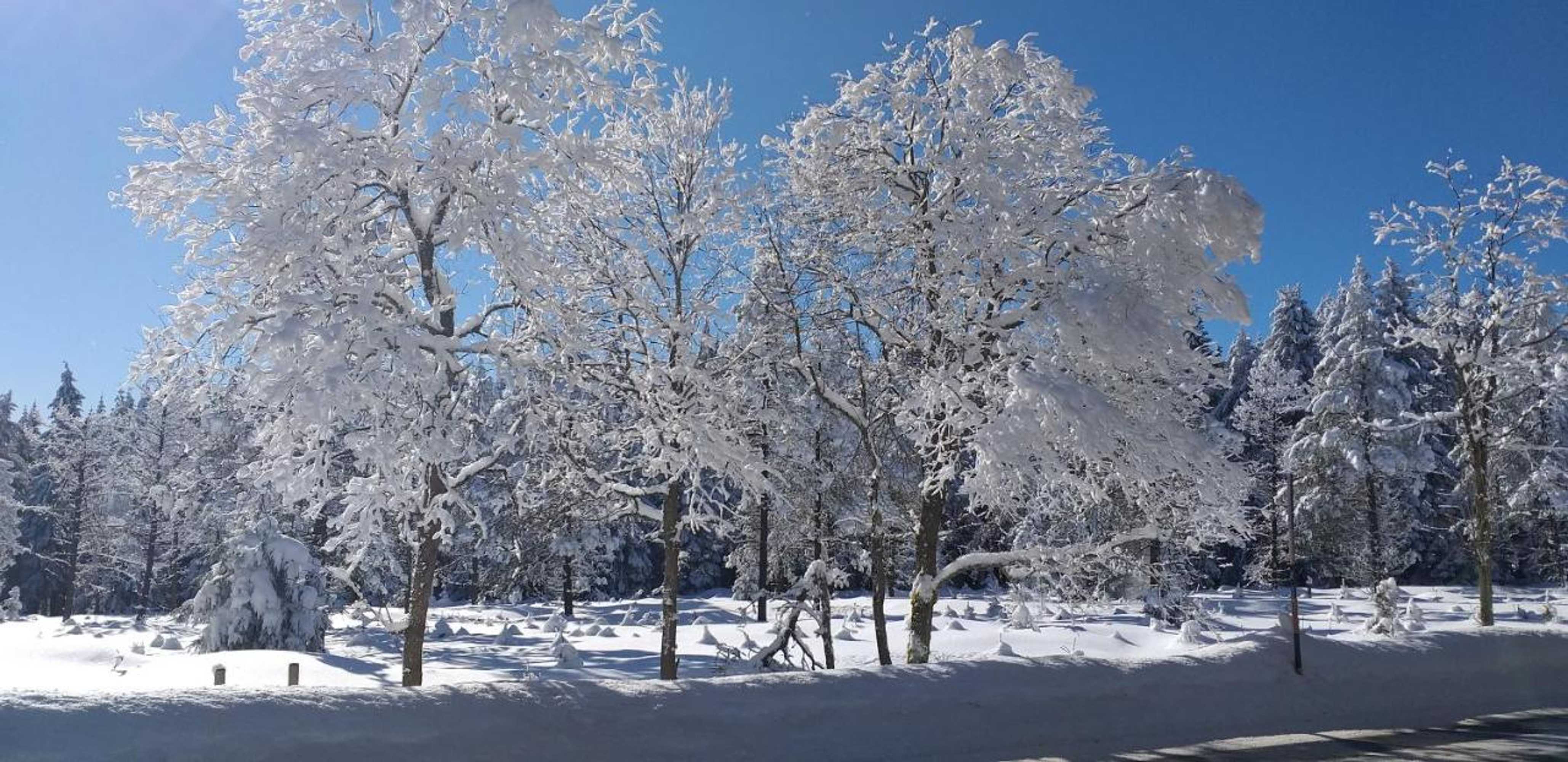 Gift card for Pension Berghof