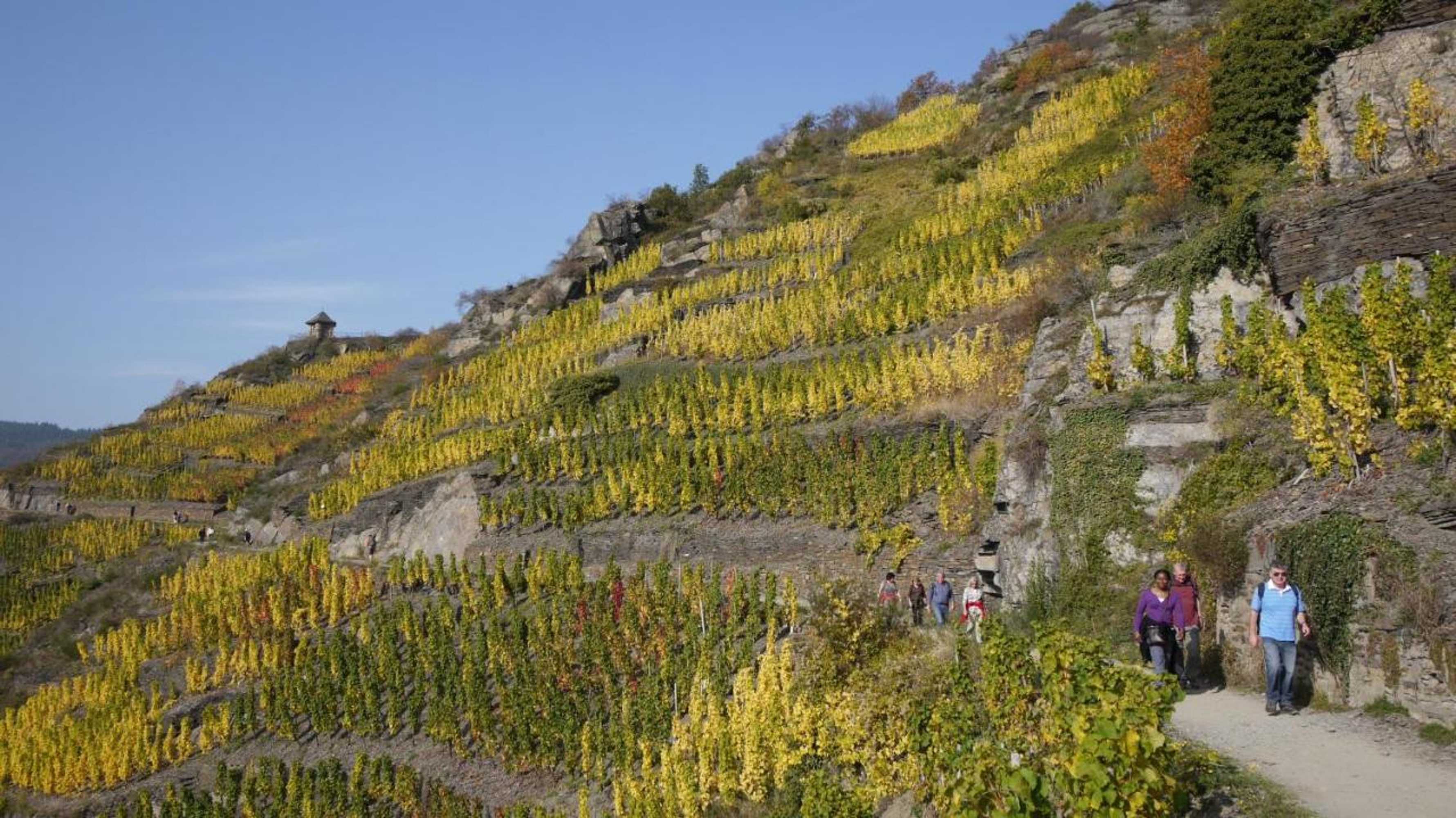 Gift card for Hotel Pinger