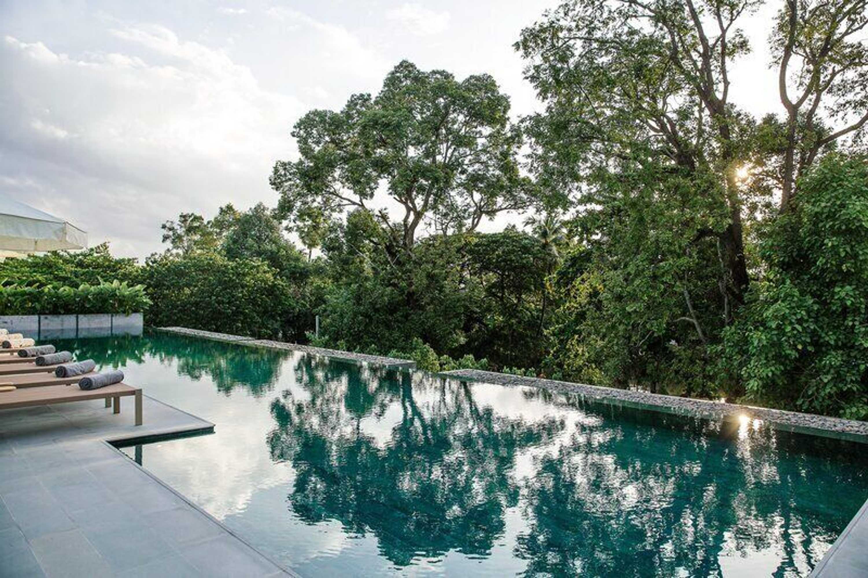Gift card for Treeline Urban Resort
