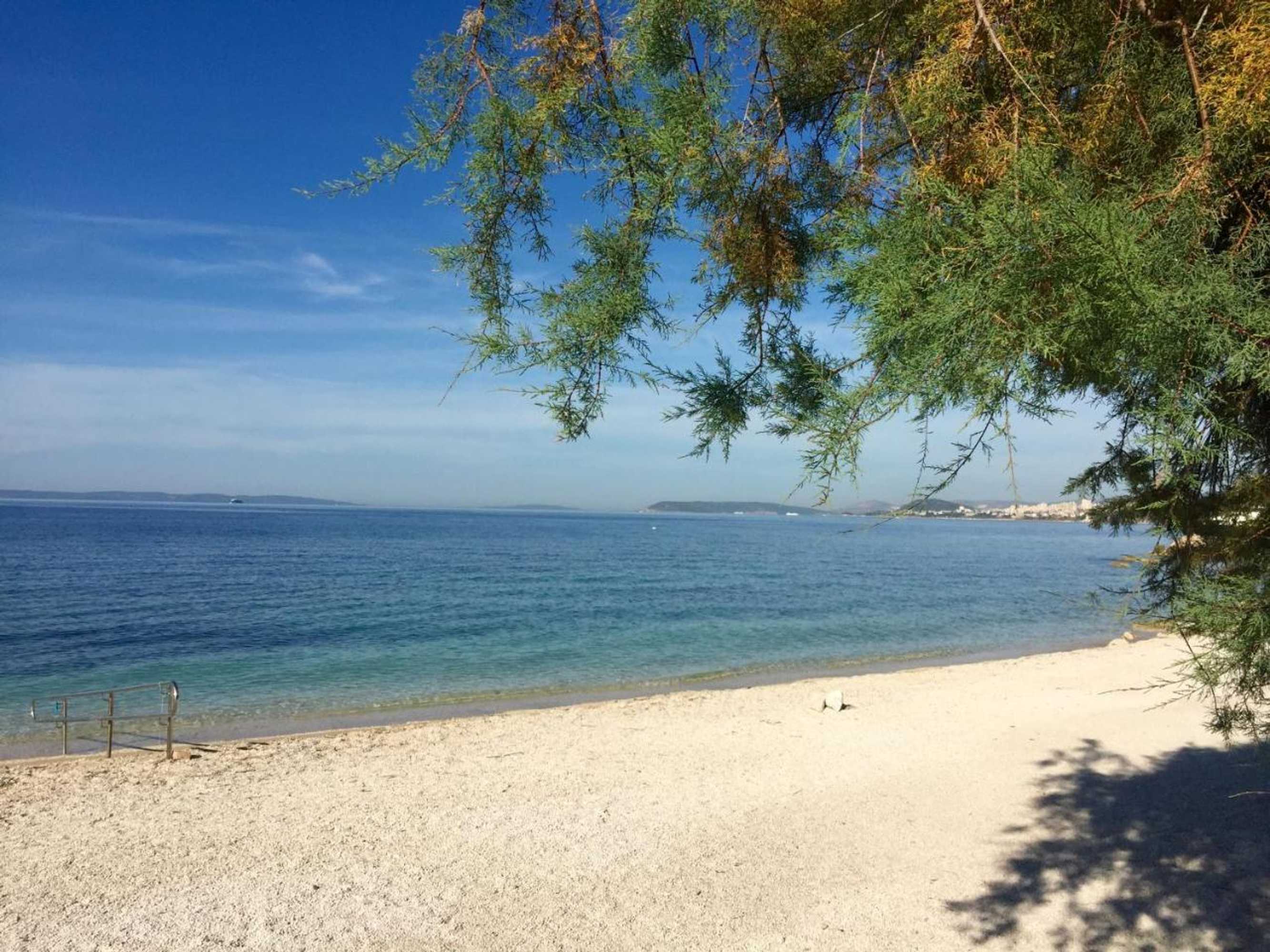 Gift card for Bed & Breakfast Senator