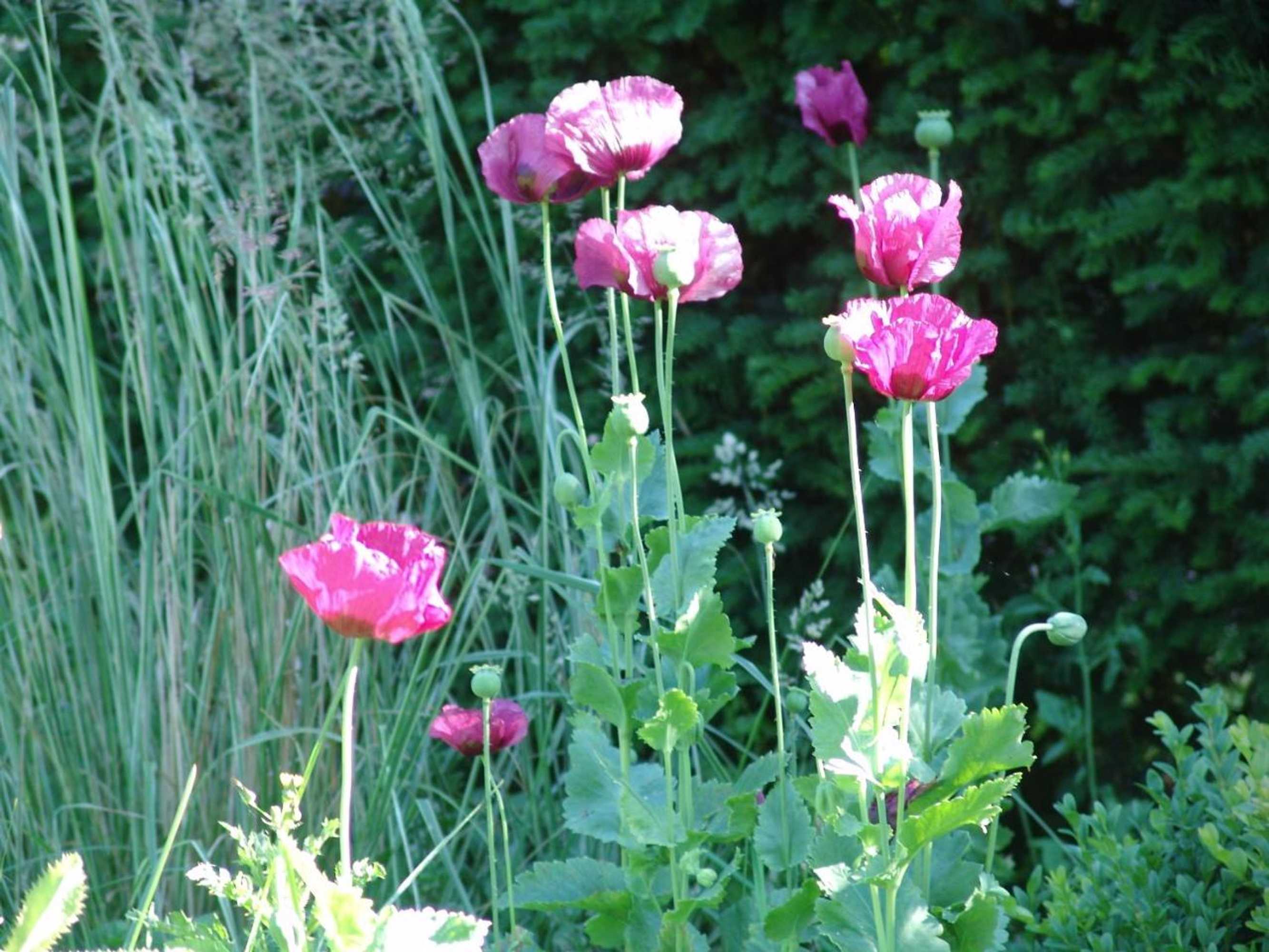 Gift card for Kasteel Sterkenburg